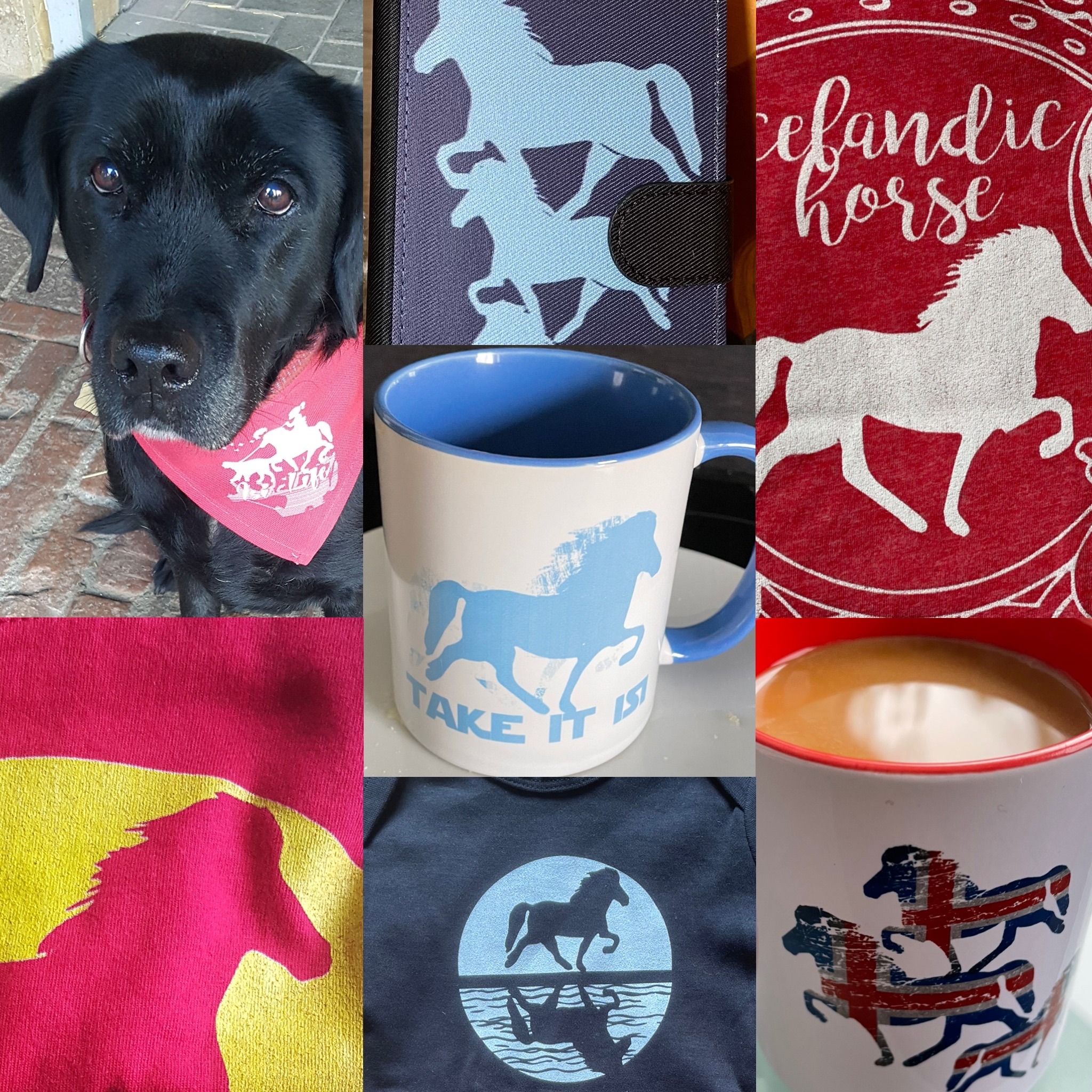 Du bist auf der Suche nach exklusiver Kleidung? Mit unseren Merch Produkten liegst Du immer richtig. Exklusive Islandpferdemode und -merch, fair und nachhaltig gefertigt in Europa.