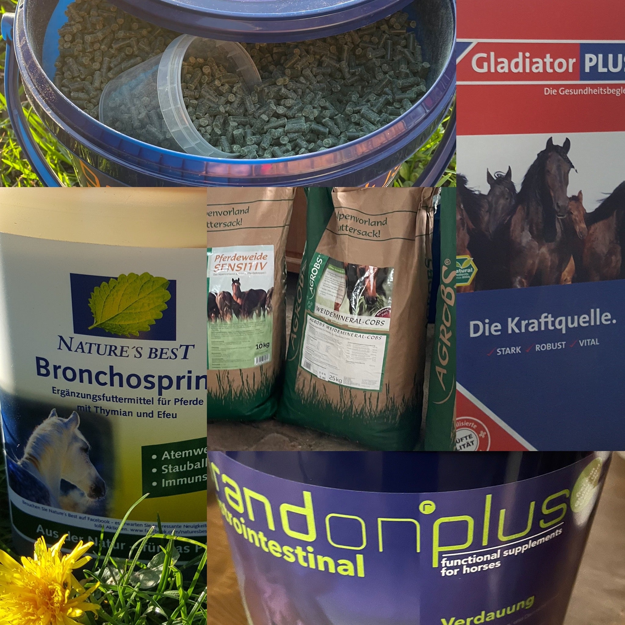 Du suchst das richtige Futter für Dein Pferd? Hier bist Du richtig. Wir führen Mineralfutter, Mash, Zusatzfutter, Leckerlies und Saatgut. Pferdefutter in höchster Qualität jetzt online bestellen
