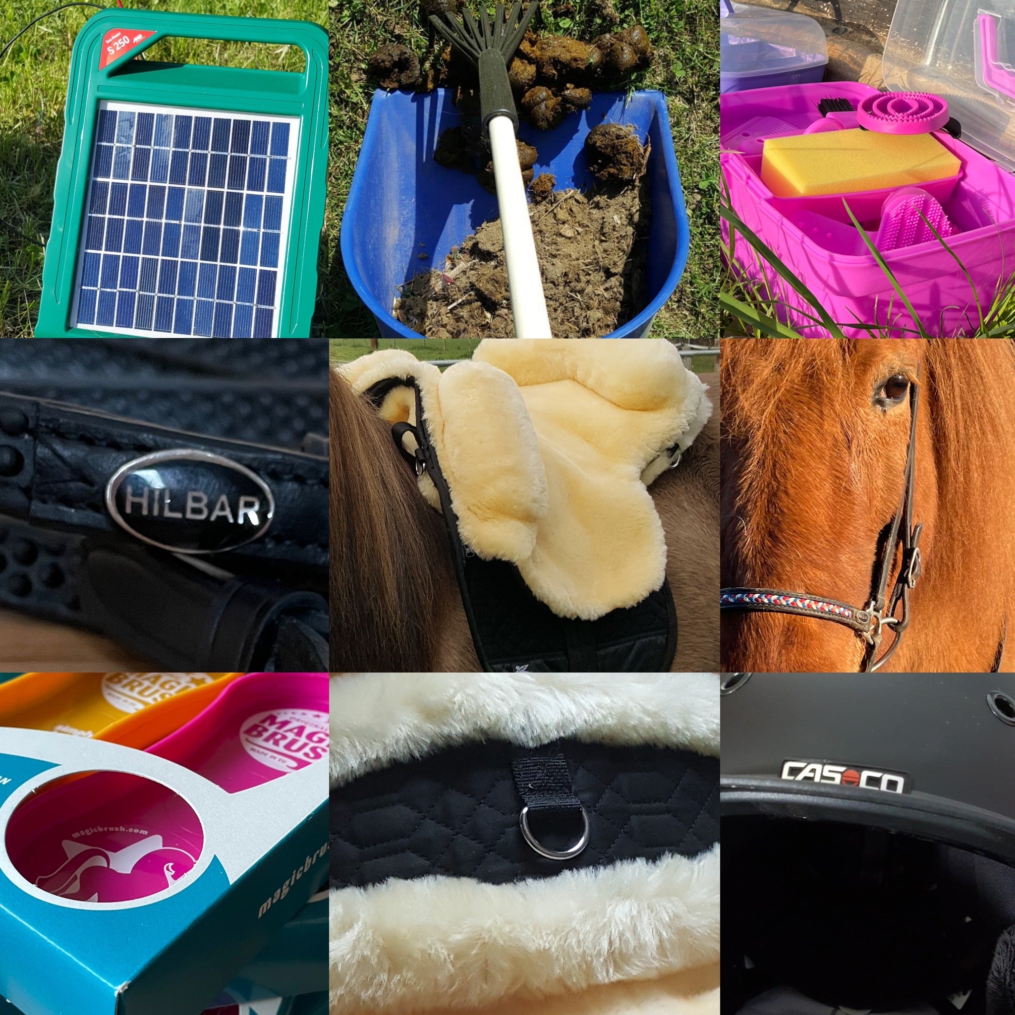 Zubehör zum Reiten Reitbedarf für Islandpferde und Reit Pferdebedarf von Marken und Icelandic Horse