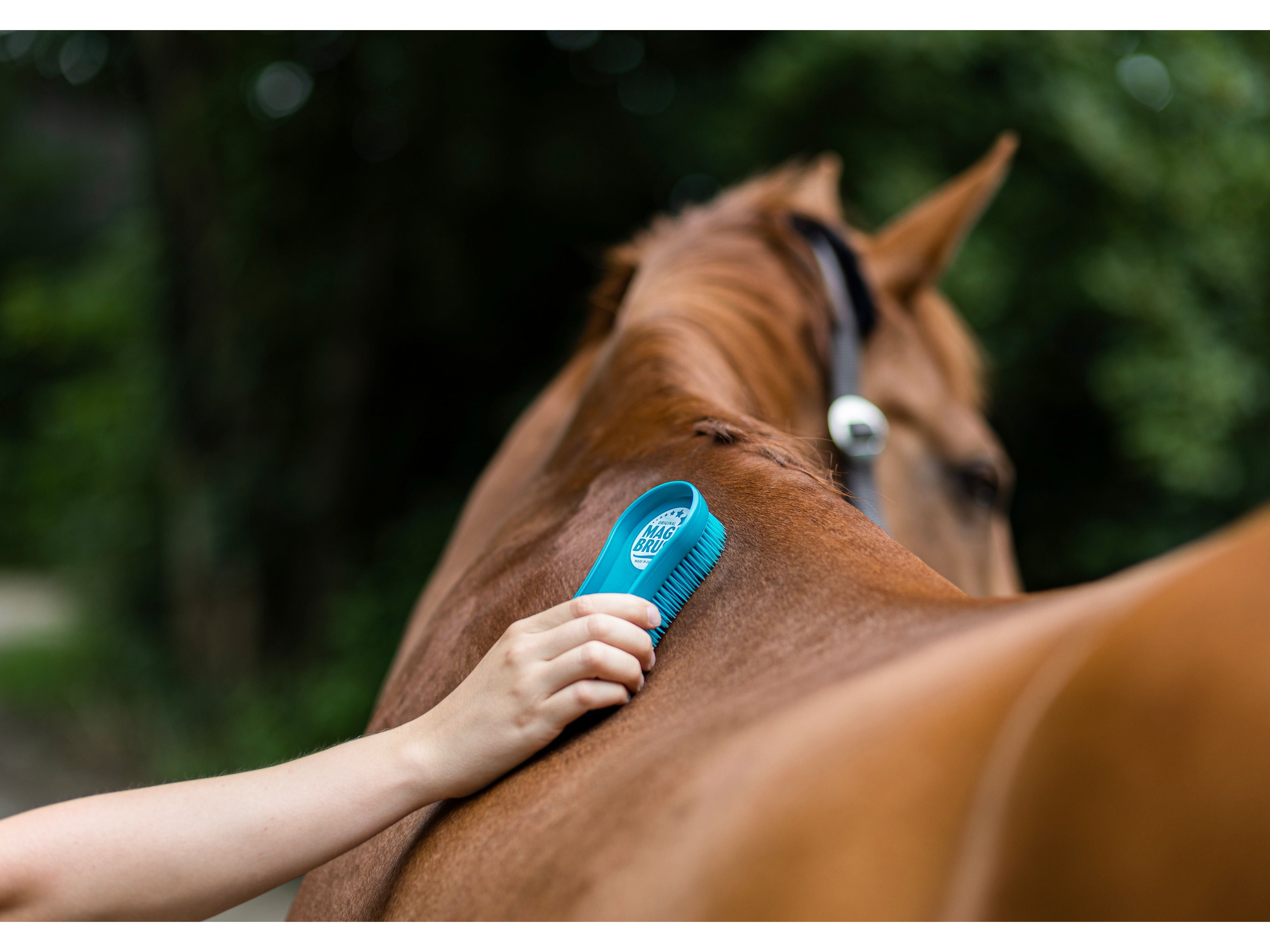 MagicBrush brush set Classic