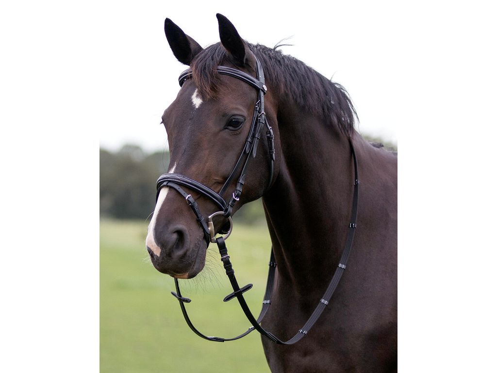 QHP Trense mit Luxus-Nähten