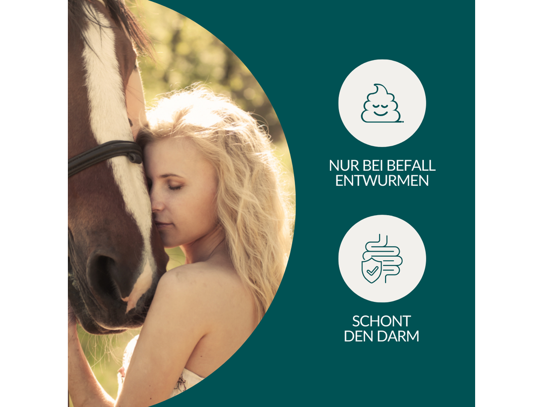 Vetevo worm test horse Pro