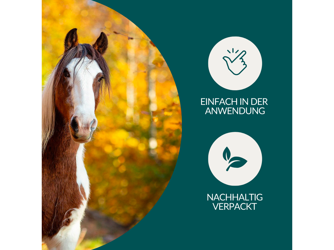 Vetevo worm test horse Pro