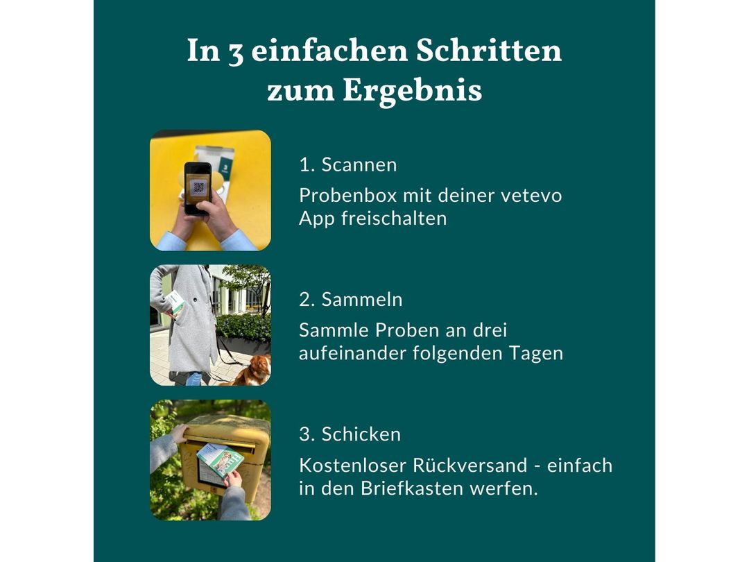 Vetevo worm test horse Pro