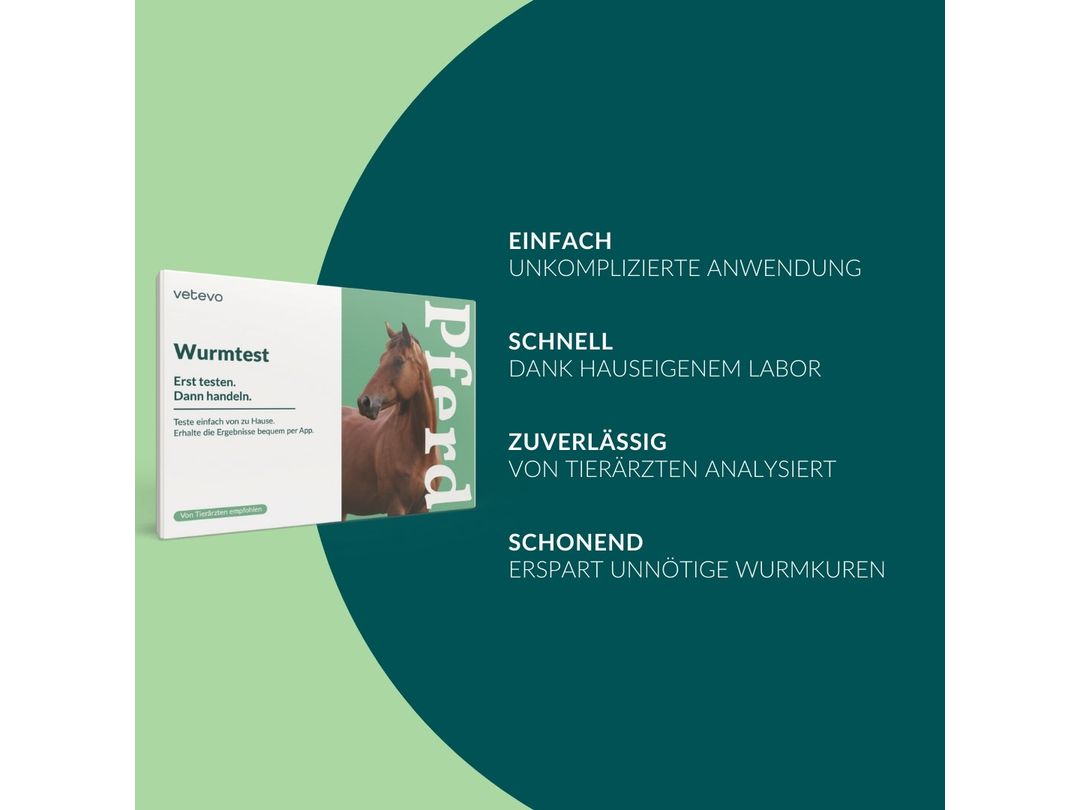 Vetevo worm test horse Pro