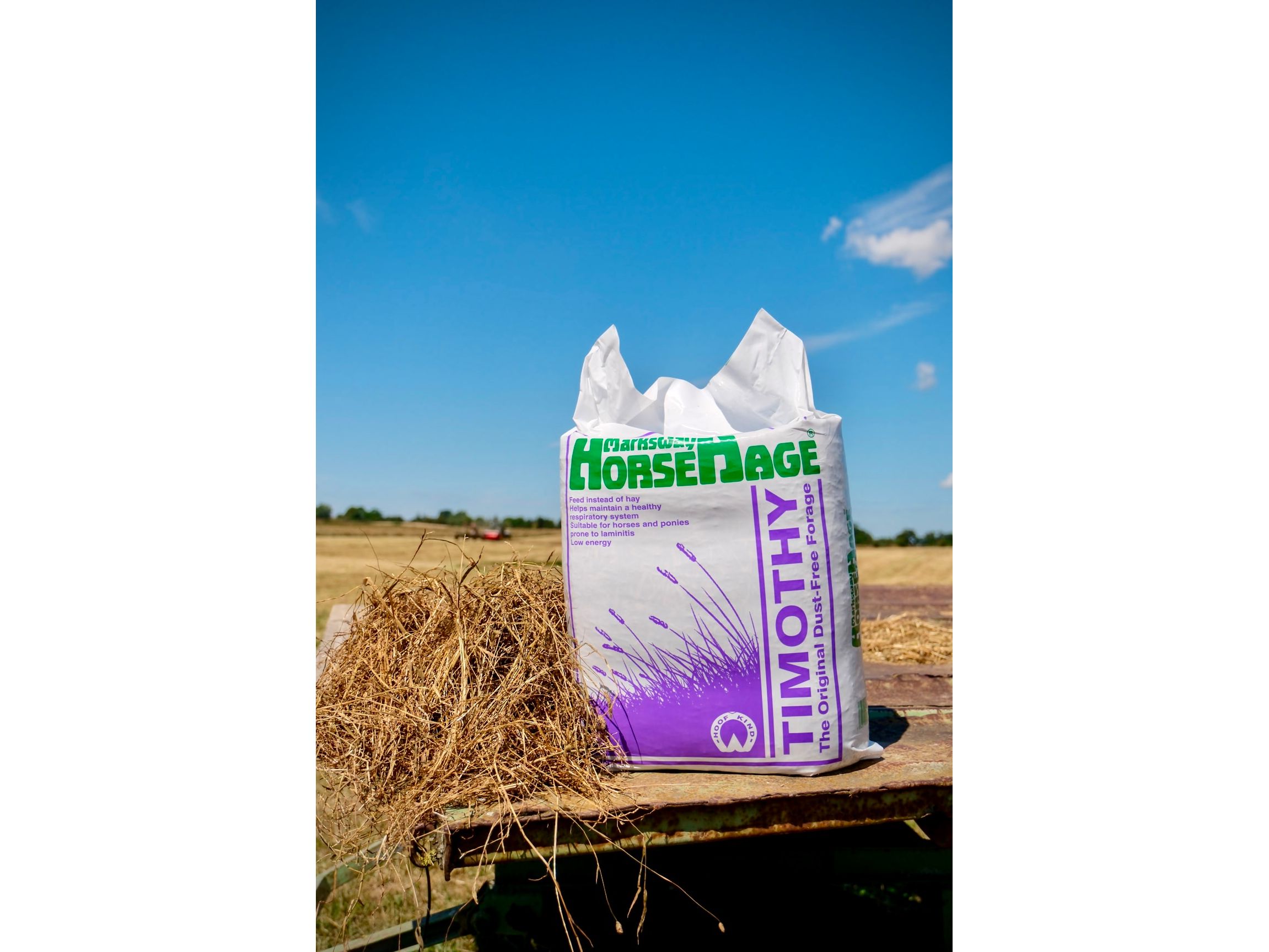 HorseHage TIMOTHY Gras