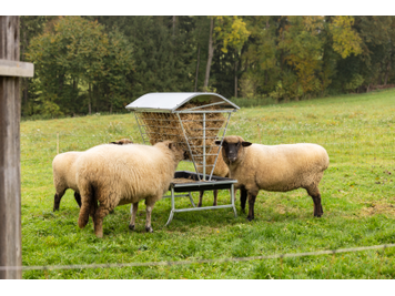 Icelandic Horse kleine Futterraufe