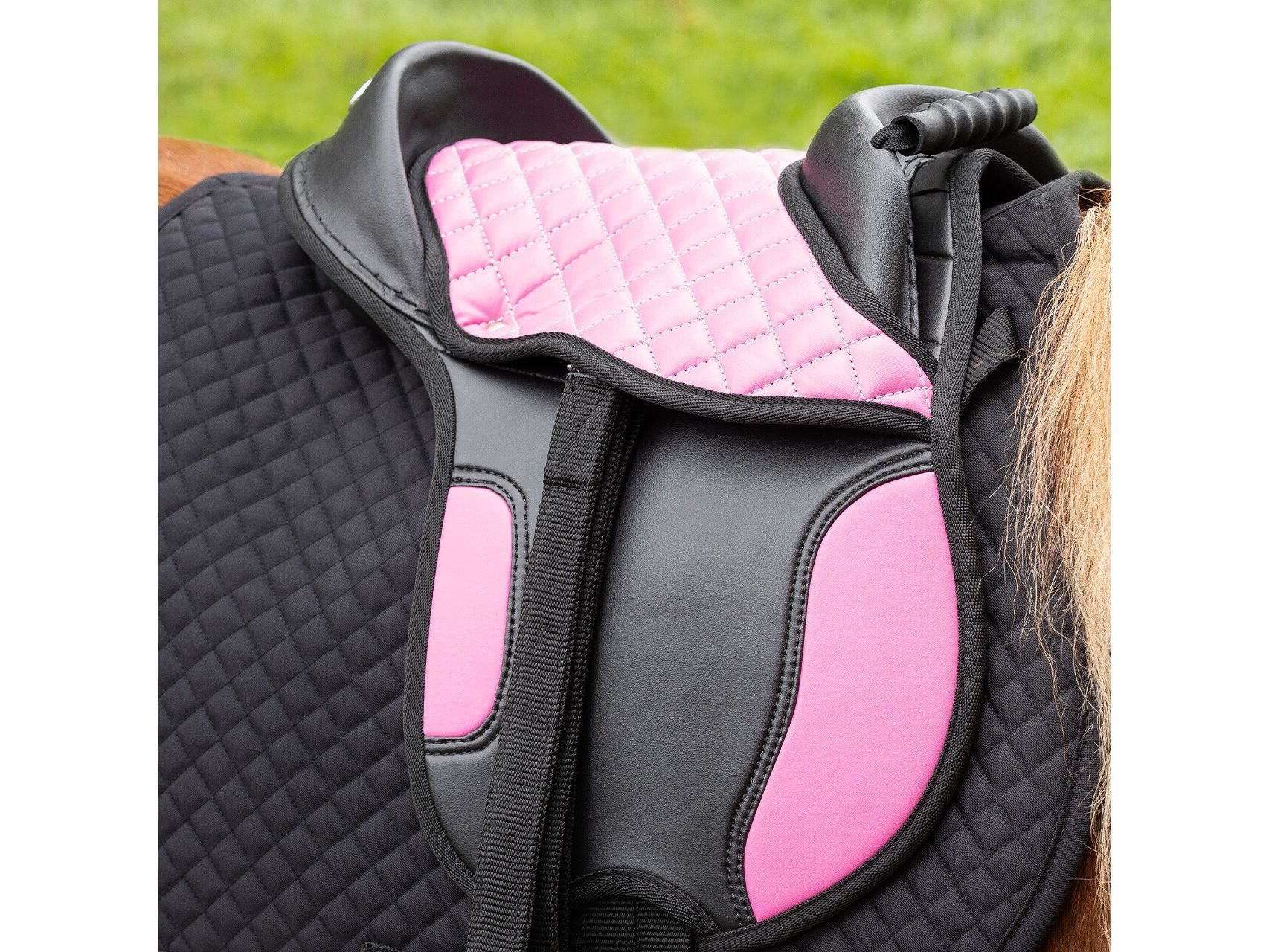 QHP Shetland Sattel für Kinder