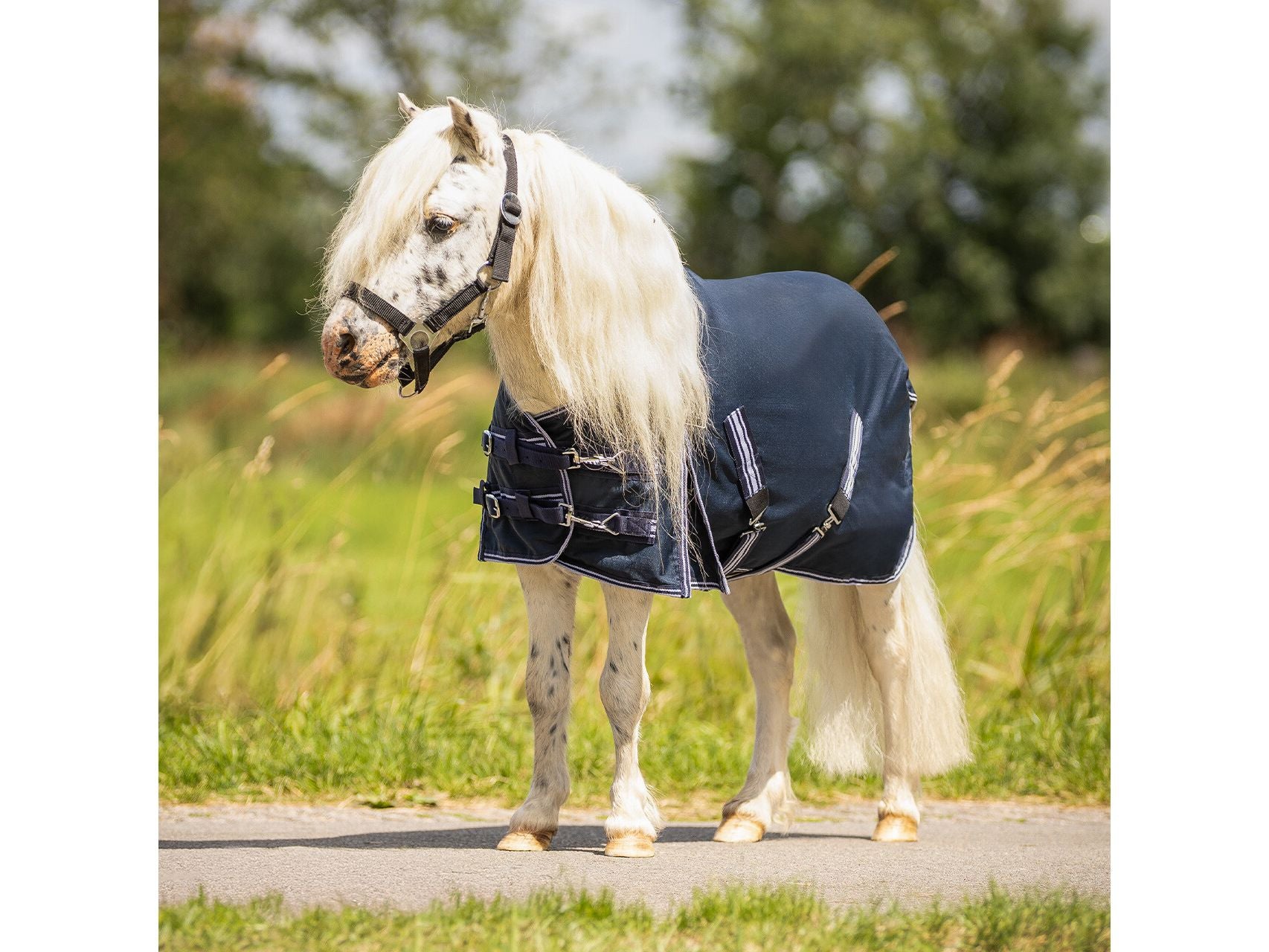 QHP Regendecke Falabelladecke Turnout 0gr