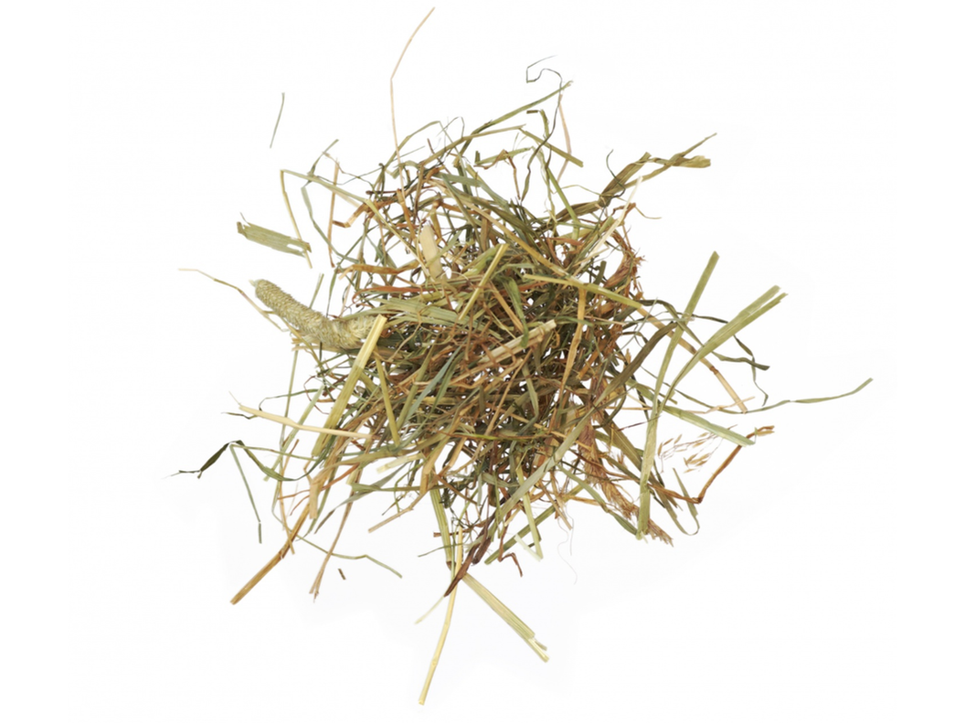 Agrobs AlpenHeu für Pferde