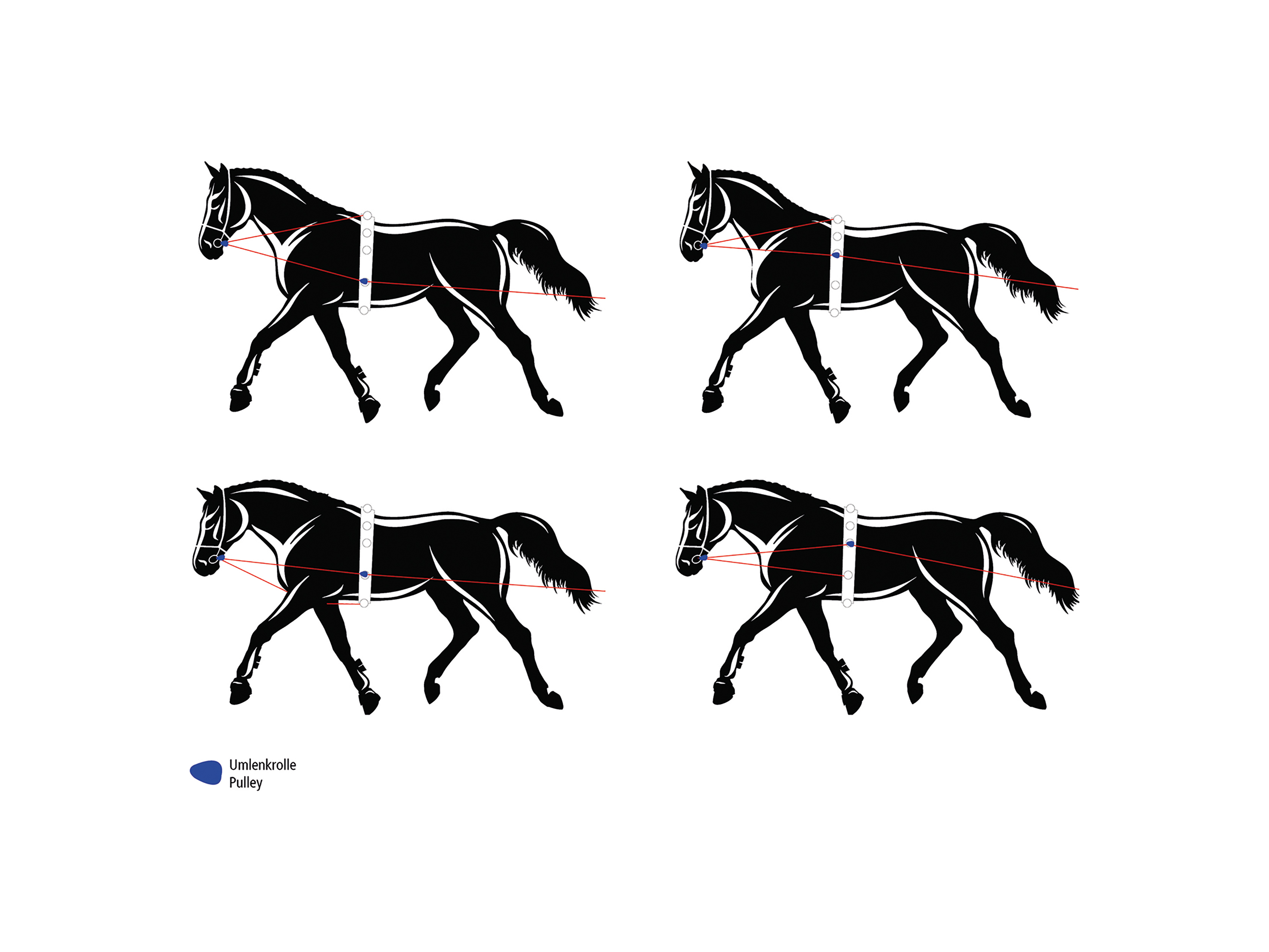 BUSSE double lunge soft with pulleys