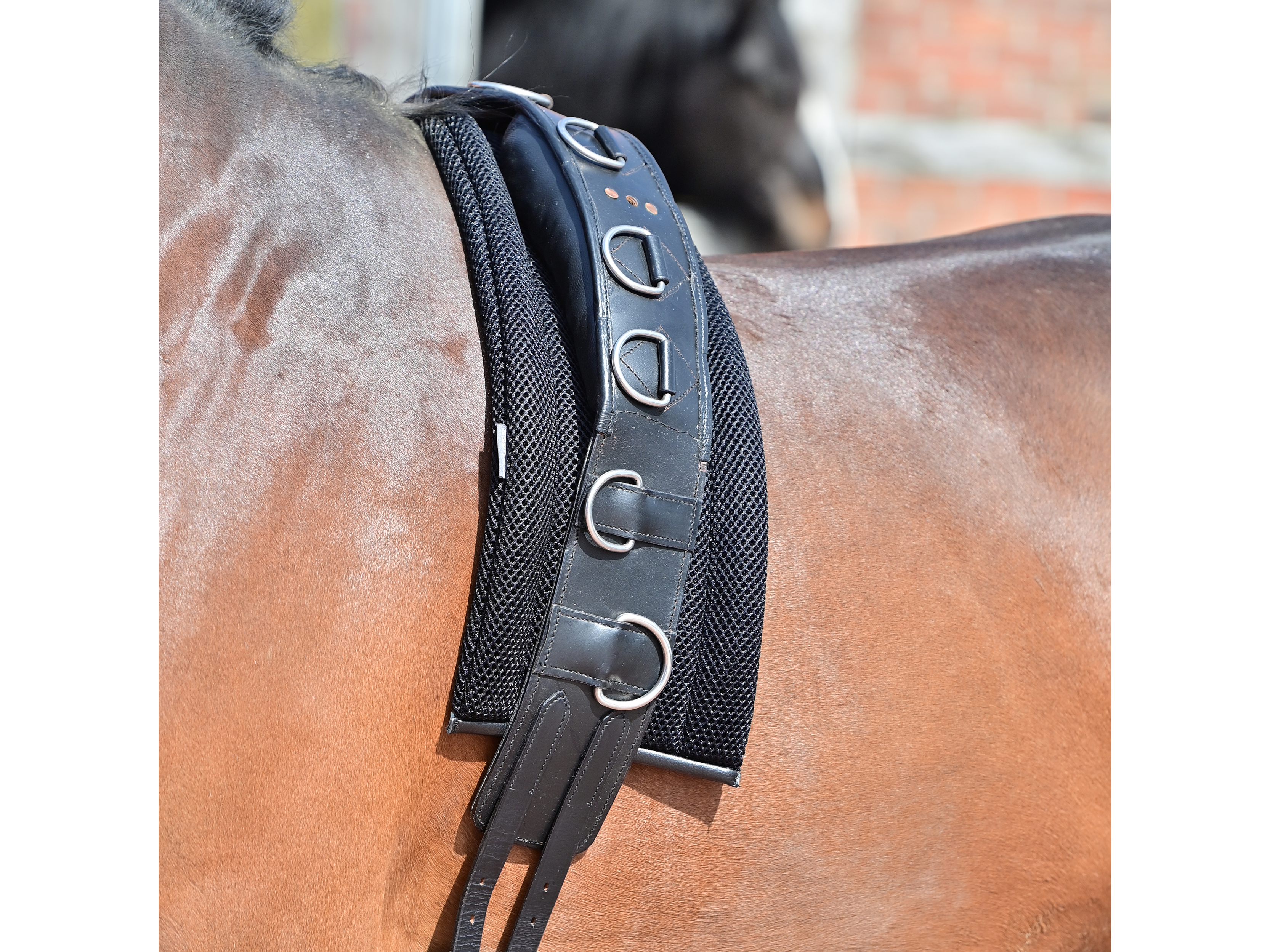 BUSSE Longiergurt-Unterlage 3D Air® Effect