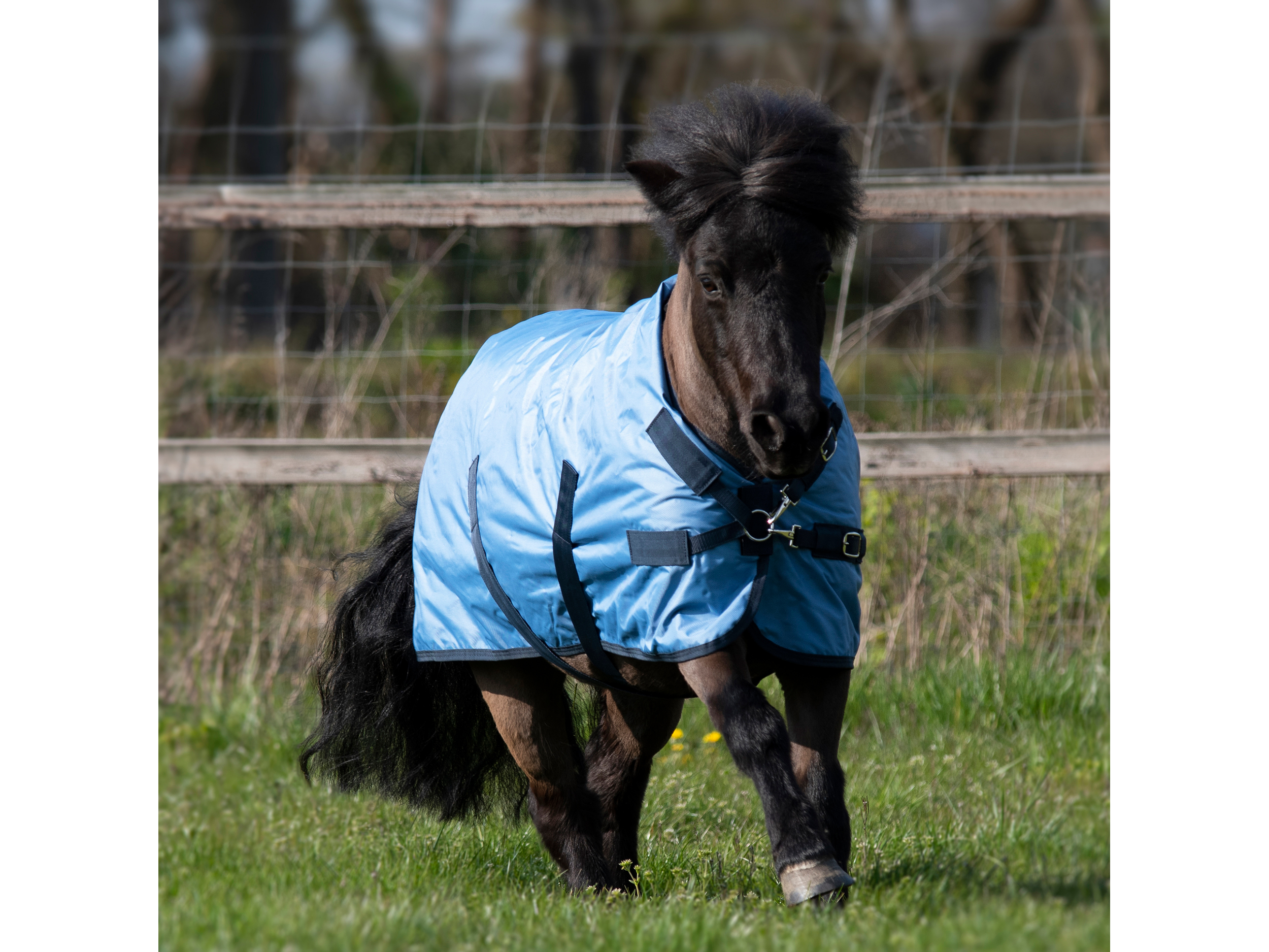 BUSSE Outdoor- und Regendecke Windchilly Mini 00