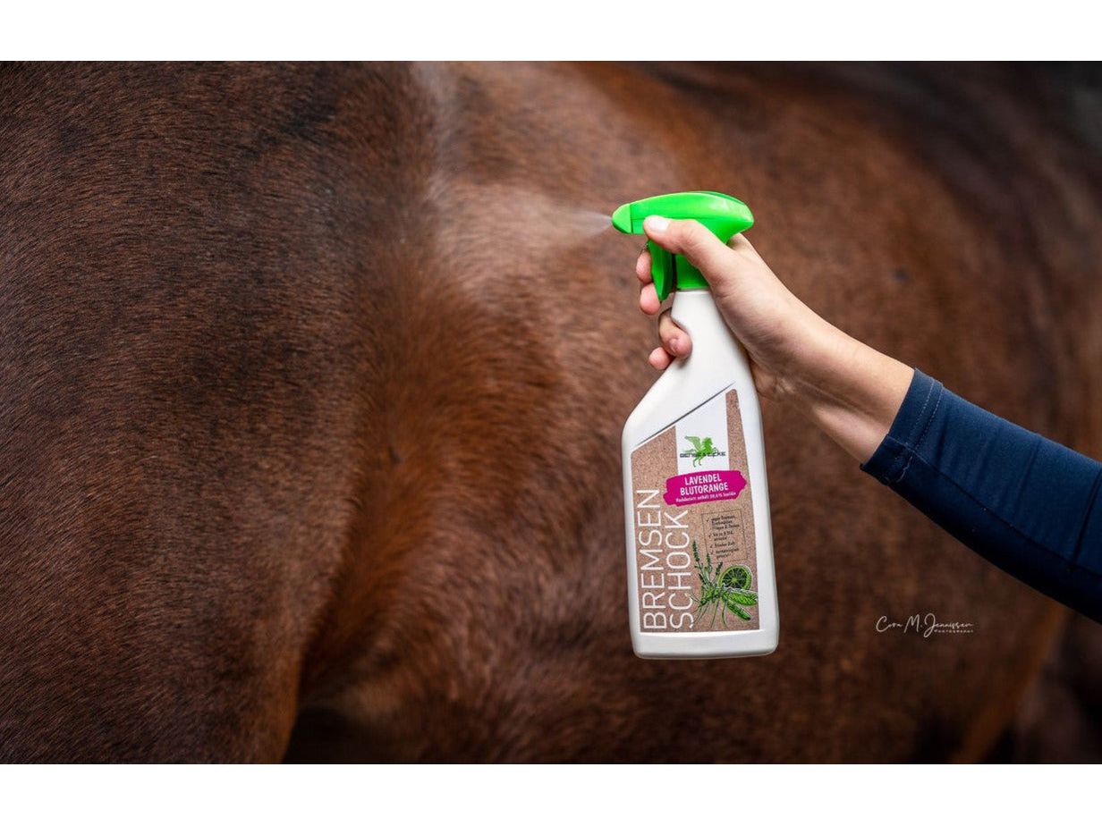 Bense & Eicke Brake Shock Lavender-Blood Orange