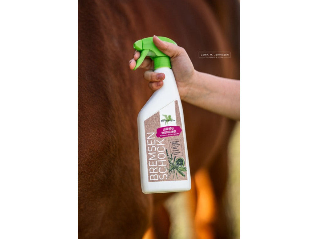 Bense & Eicke Brake Shock Lavender-Blood Orange