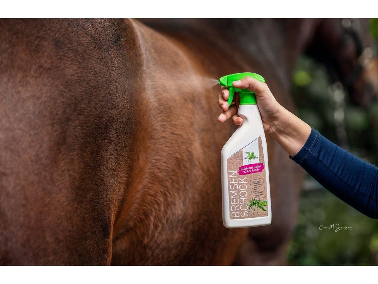 Bense & Eicke BremsenSchock