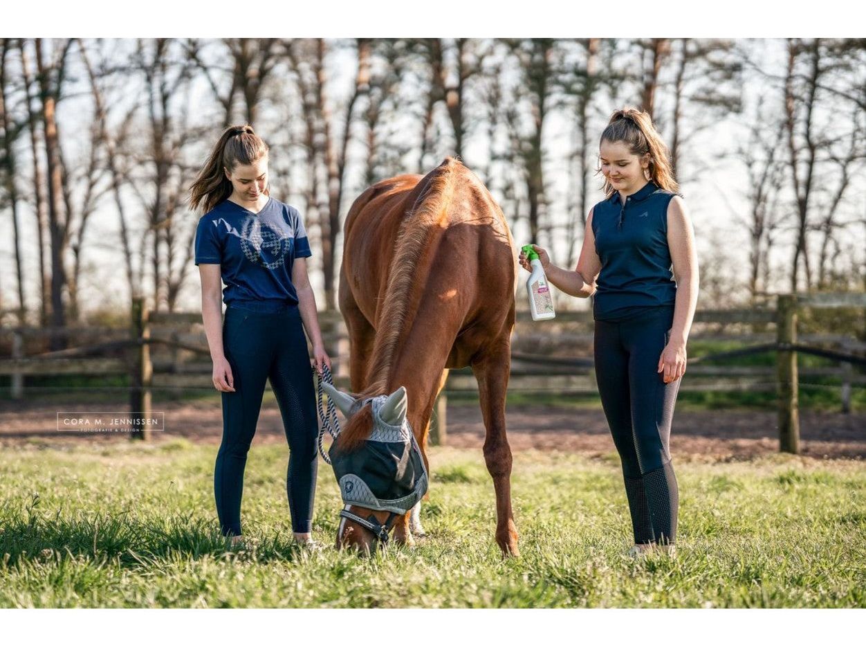 Bense & Eicke BremsenSchock