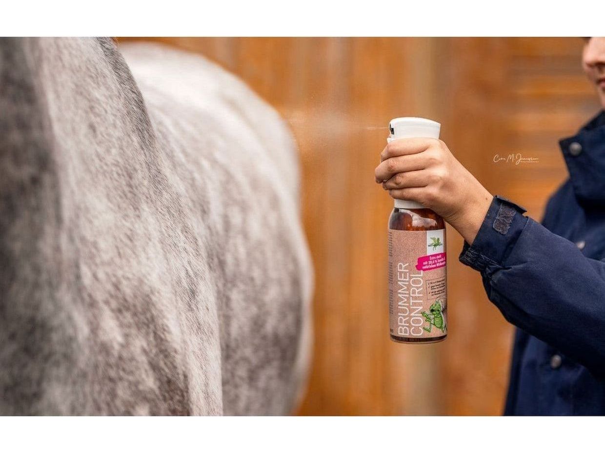 Bense & Eicke Brummer Contrôle