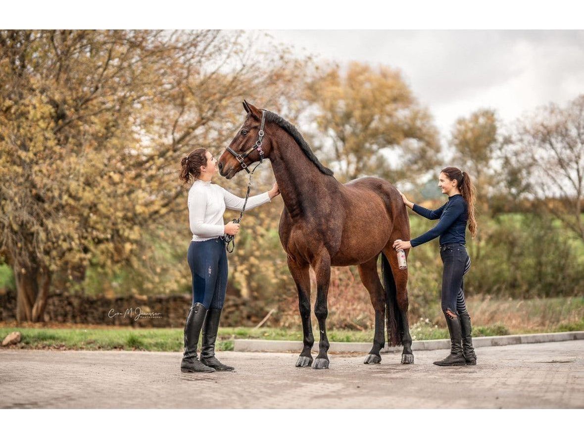 Bense & Eicke Brummer Contrôle