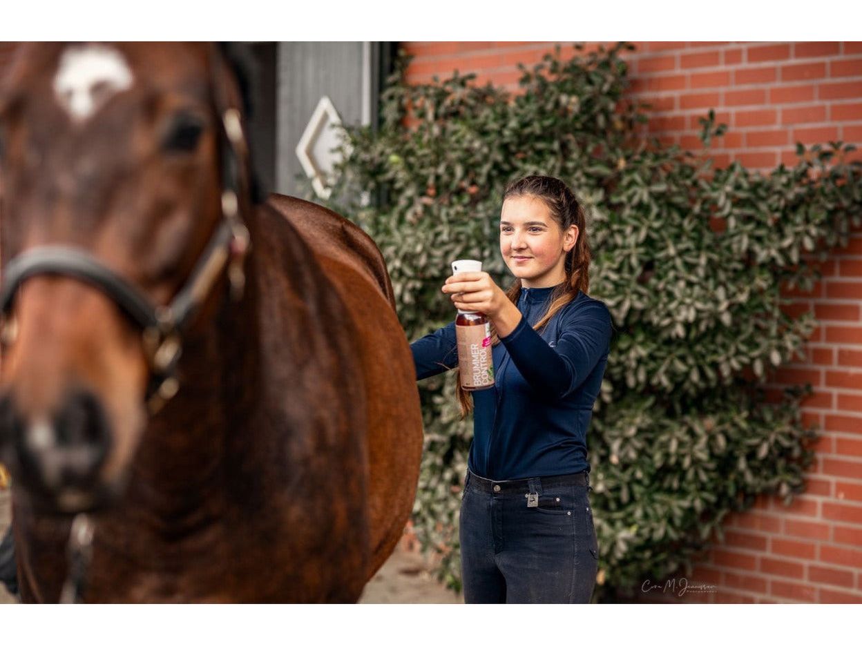 Bense & Eicke Brummer Contrôle