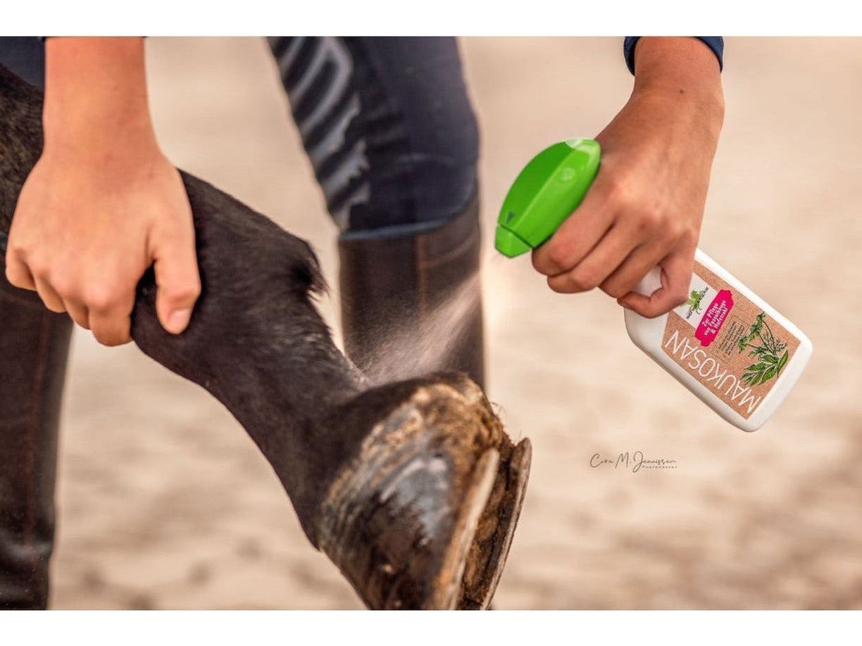 Bense & Eicke Maukosan 250 ml