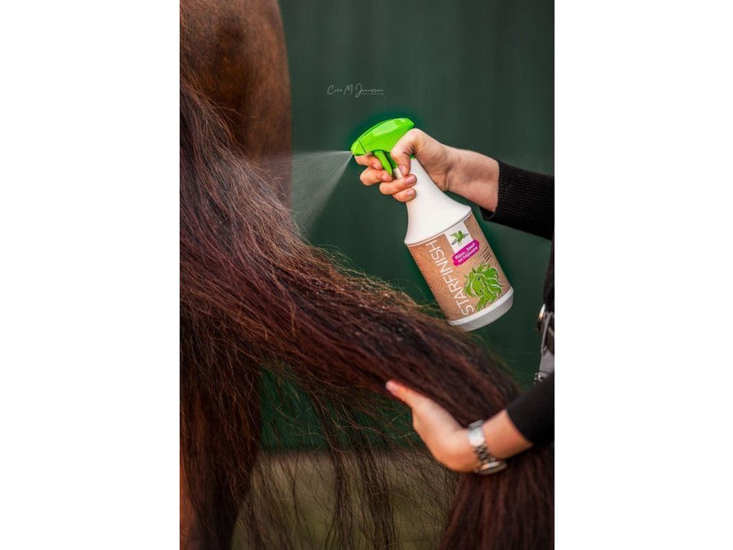 Bense & Eicke StarFinish