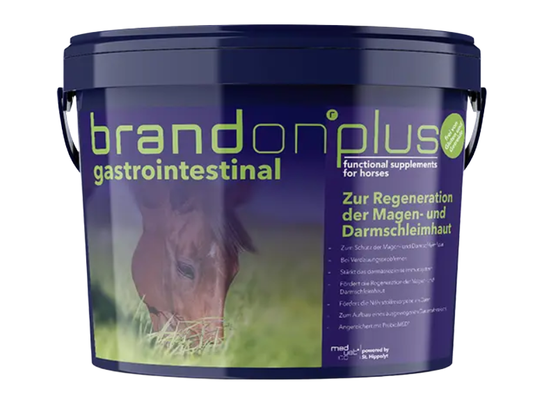 Brandon® plus gastrointestinal – zur Regeneration der Magen- und Darmschleimhaut von Pferden und Ponys