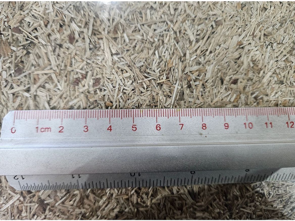 ECOflax Lein-Einstreu