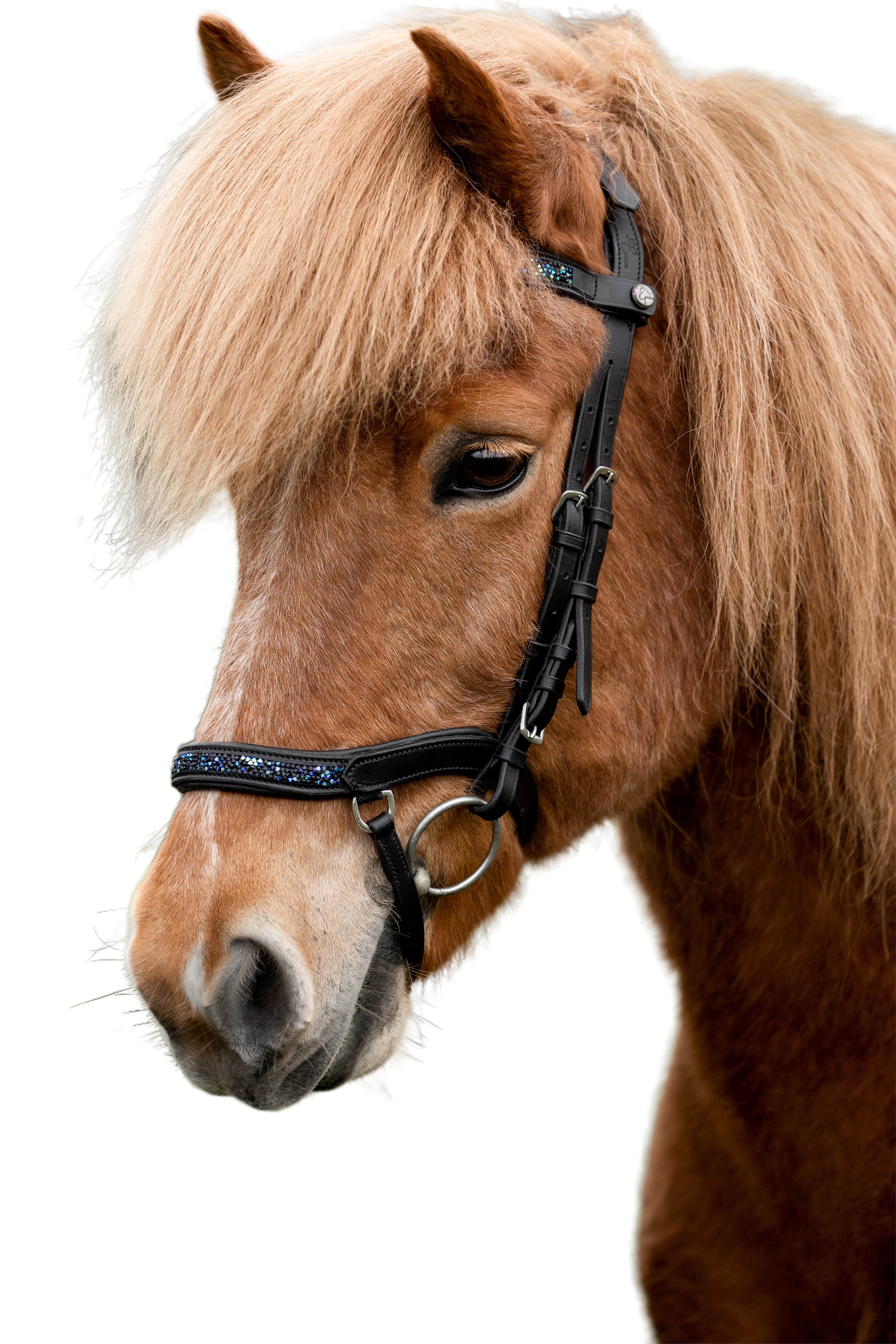 Korrektionspad Lammfell schwarz Pony, 129,00 €