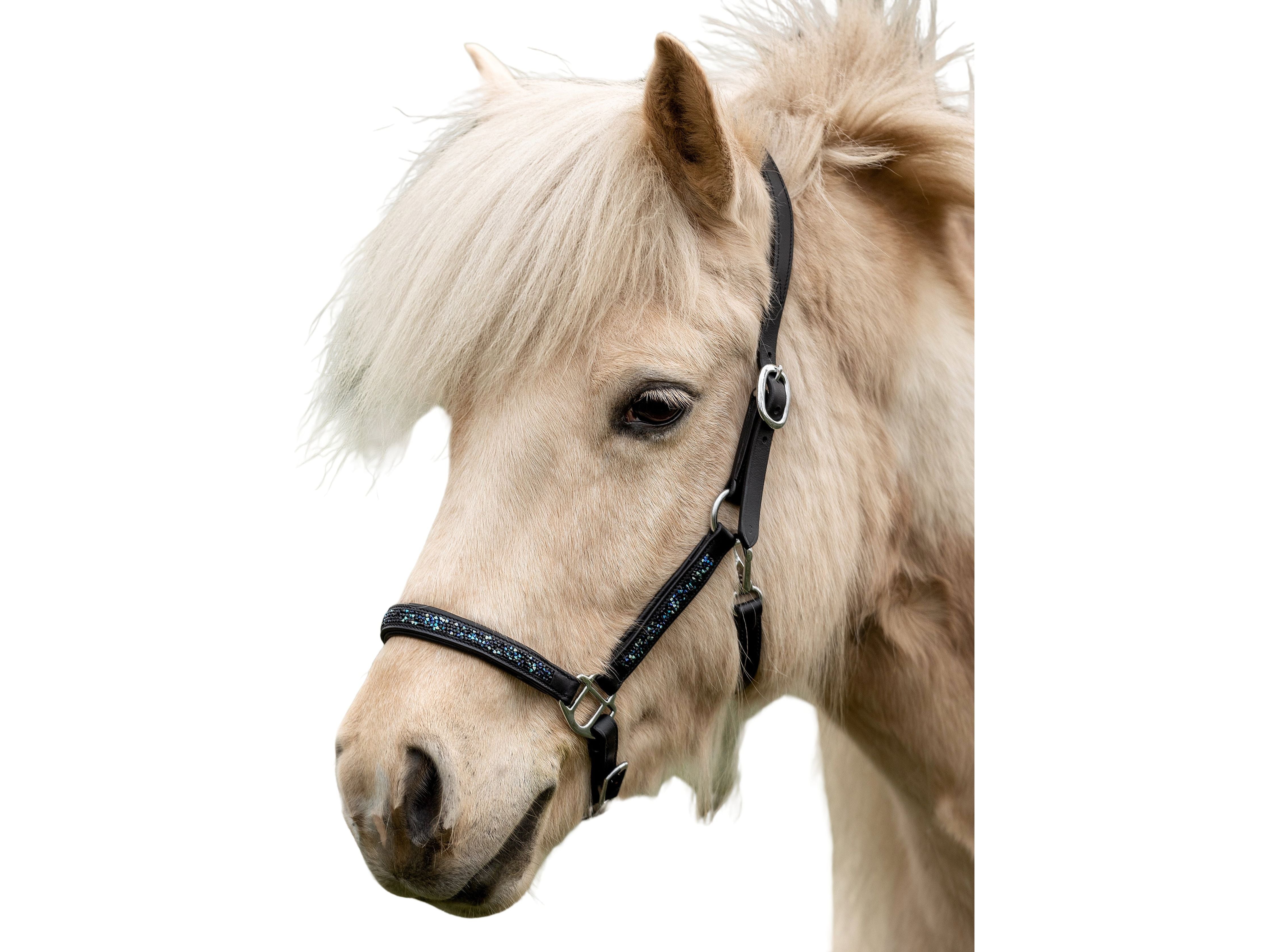 Das Halfter Dark Ocean für Islandpferde ist ein hochwertig verarbeitetes Halfter aus besonders weichem Leder, verziert mit funkelnden schwarzen und blauen Steinen