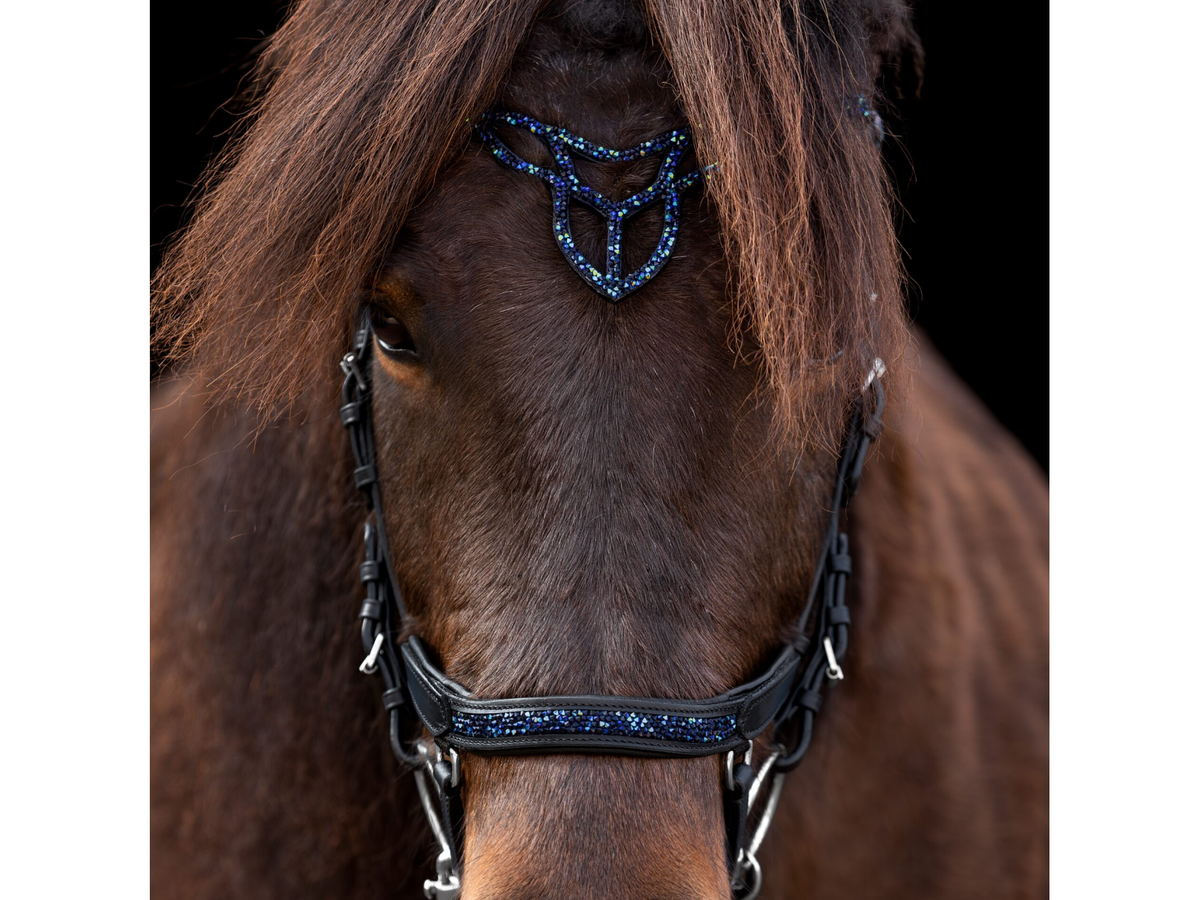 Epona Anatomische Trense Hellnar dark ocean – Frontansicht am Islandpferd mit schwarz-blauen Schmucksteinen