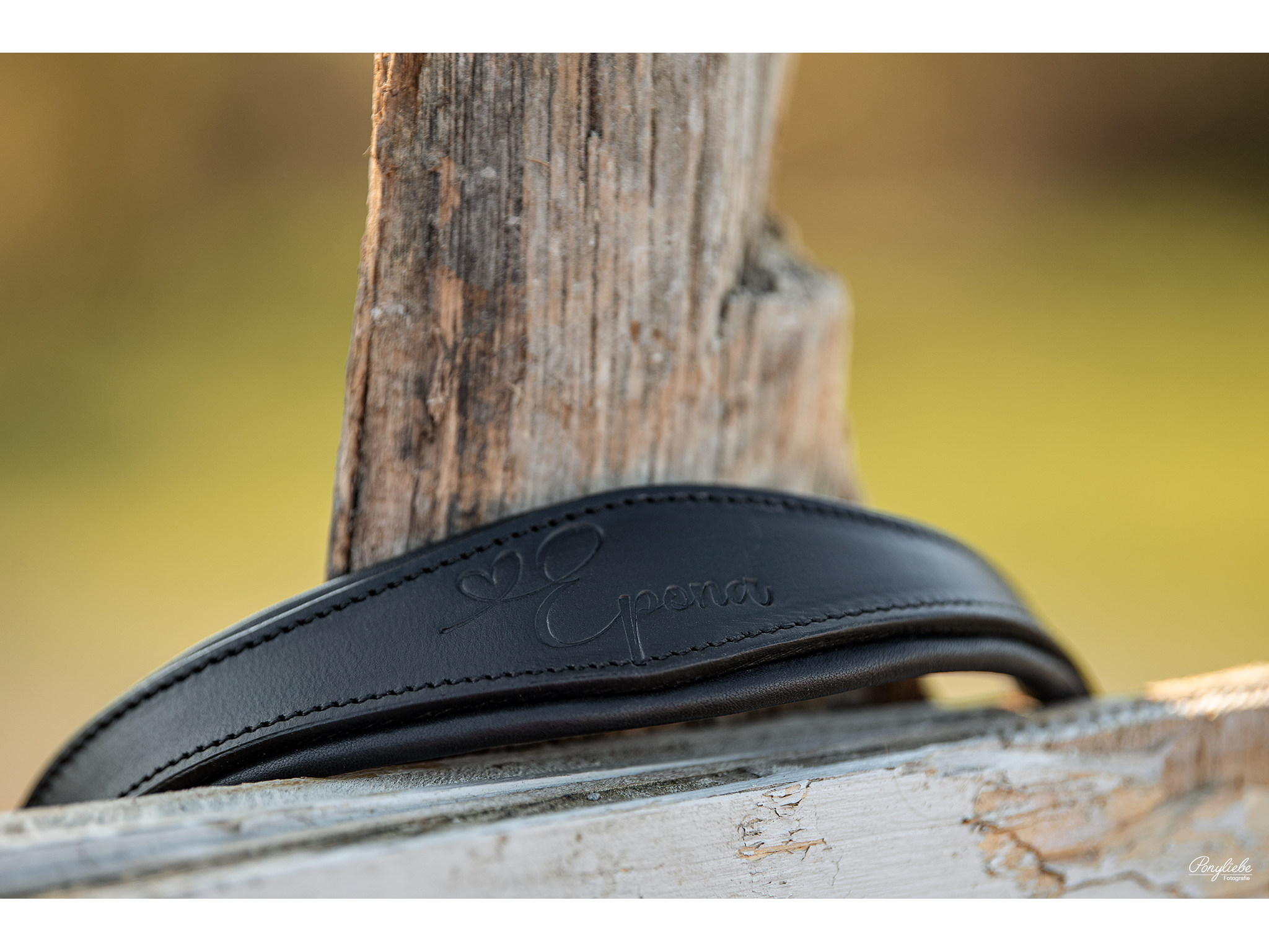 Epona anatomical leather halter moss green