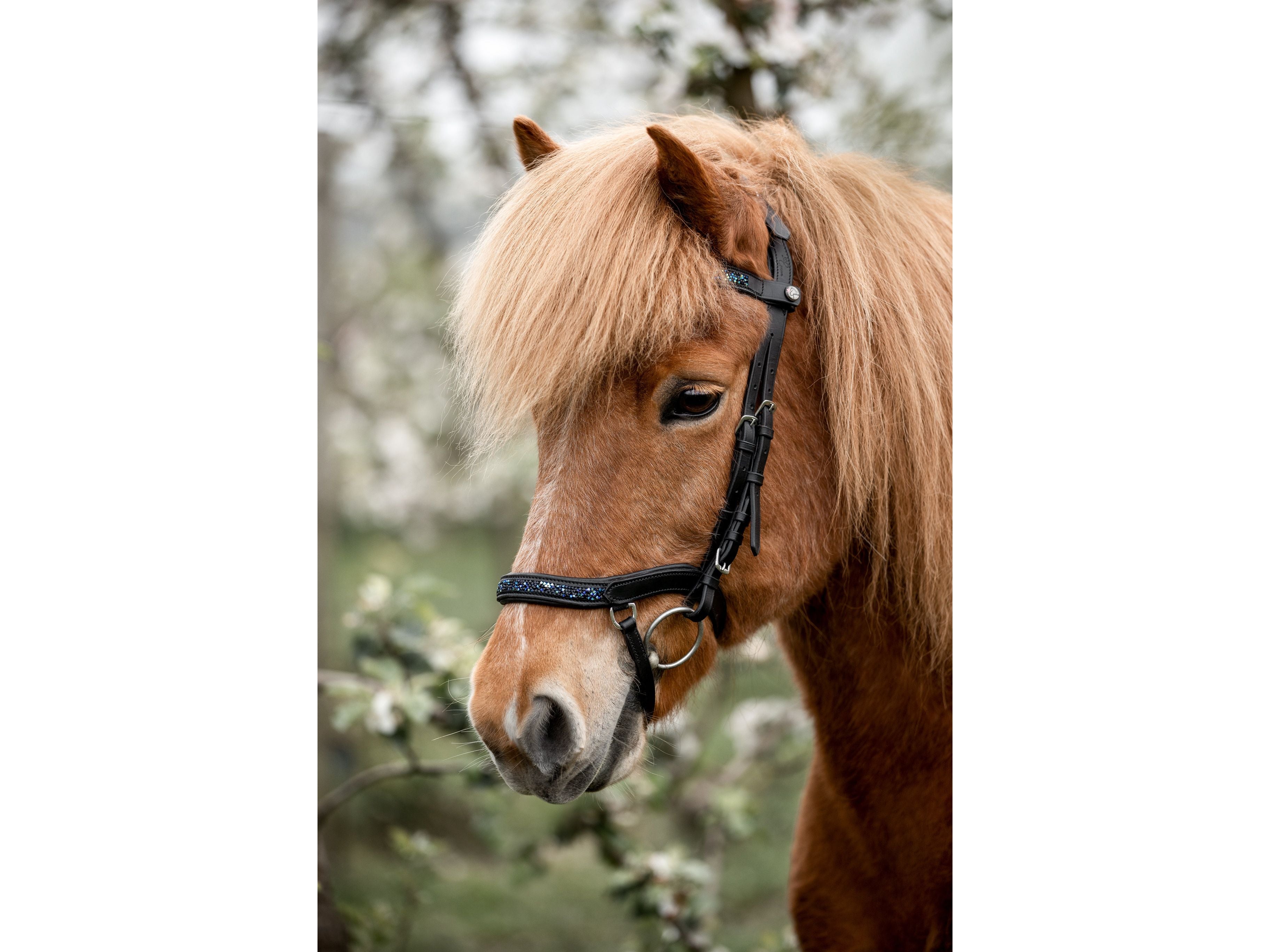 Epona anatomical bridle Aurora dark ocean