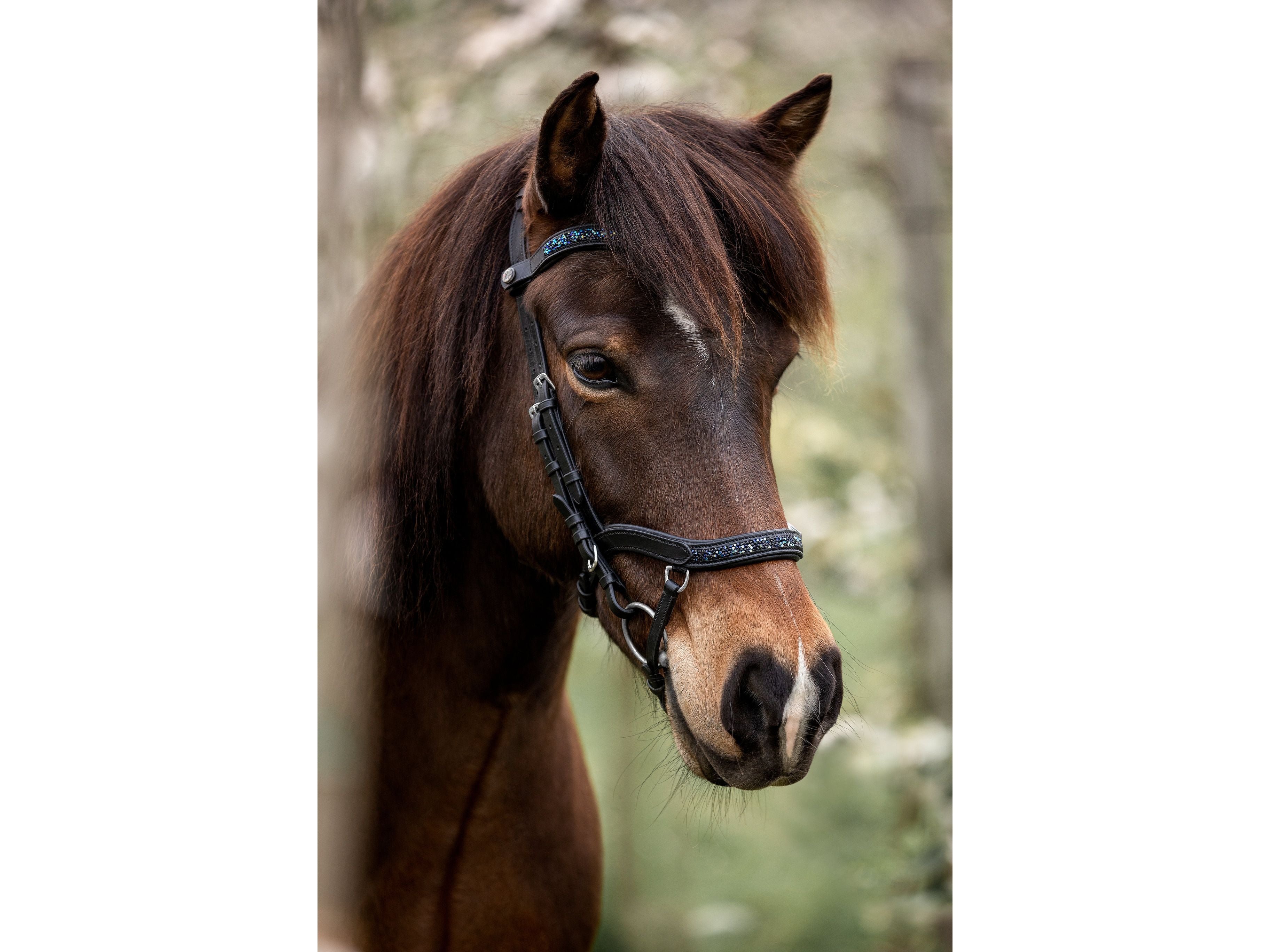 Epona anatomical bridle Aurora dark ocean