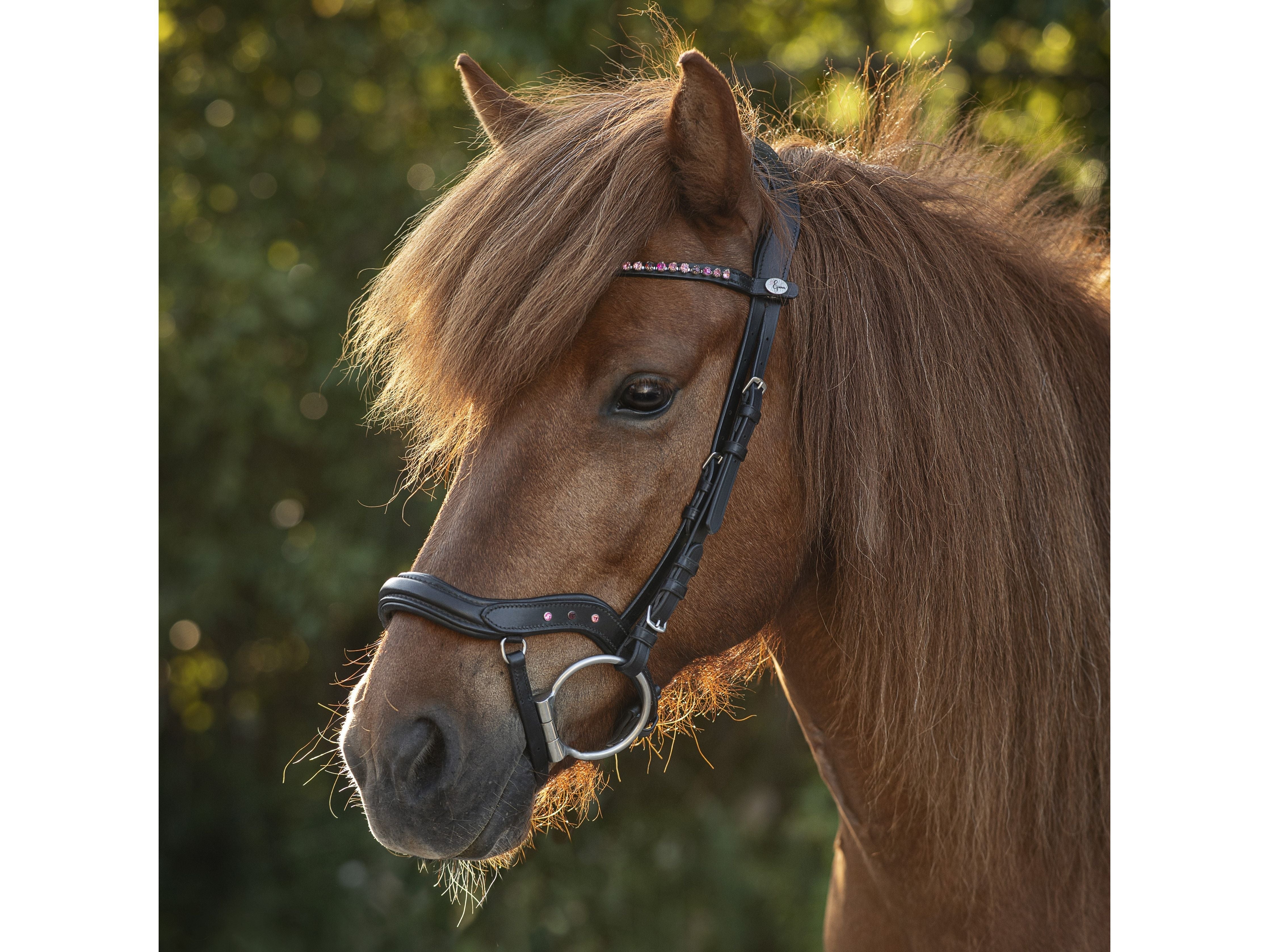 Epona Anatomical Bridle Comfort pink