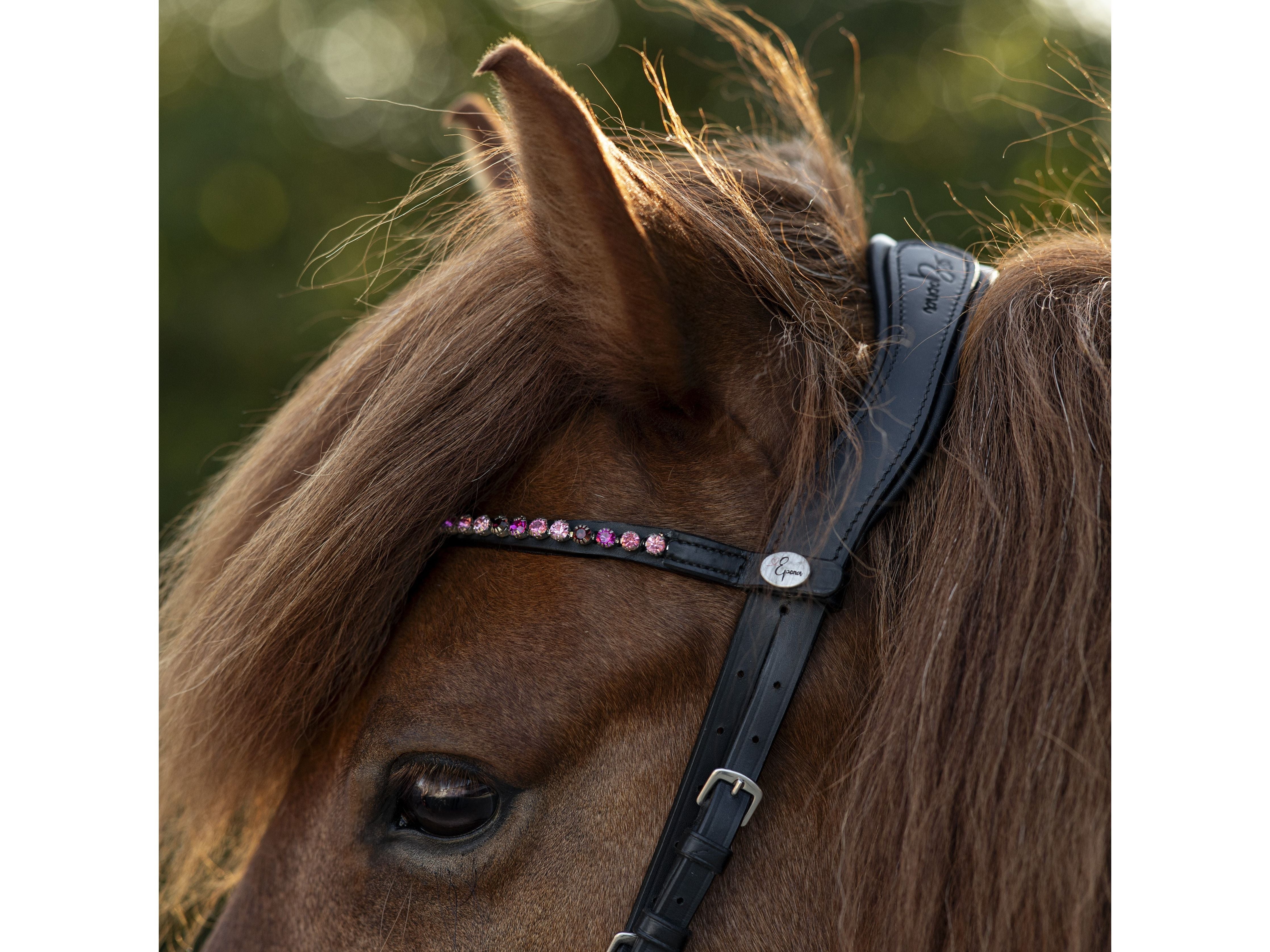 Epona Anatomische Trense Comfort pink