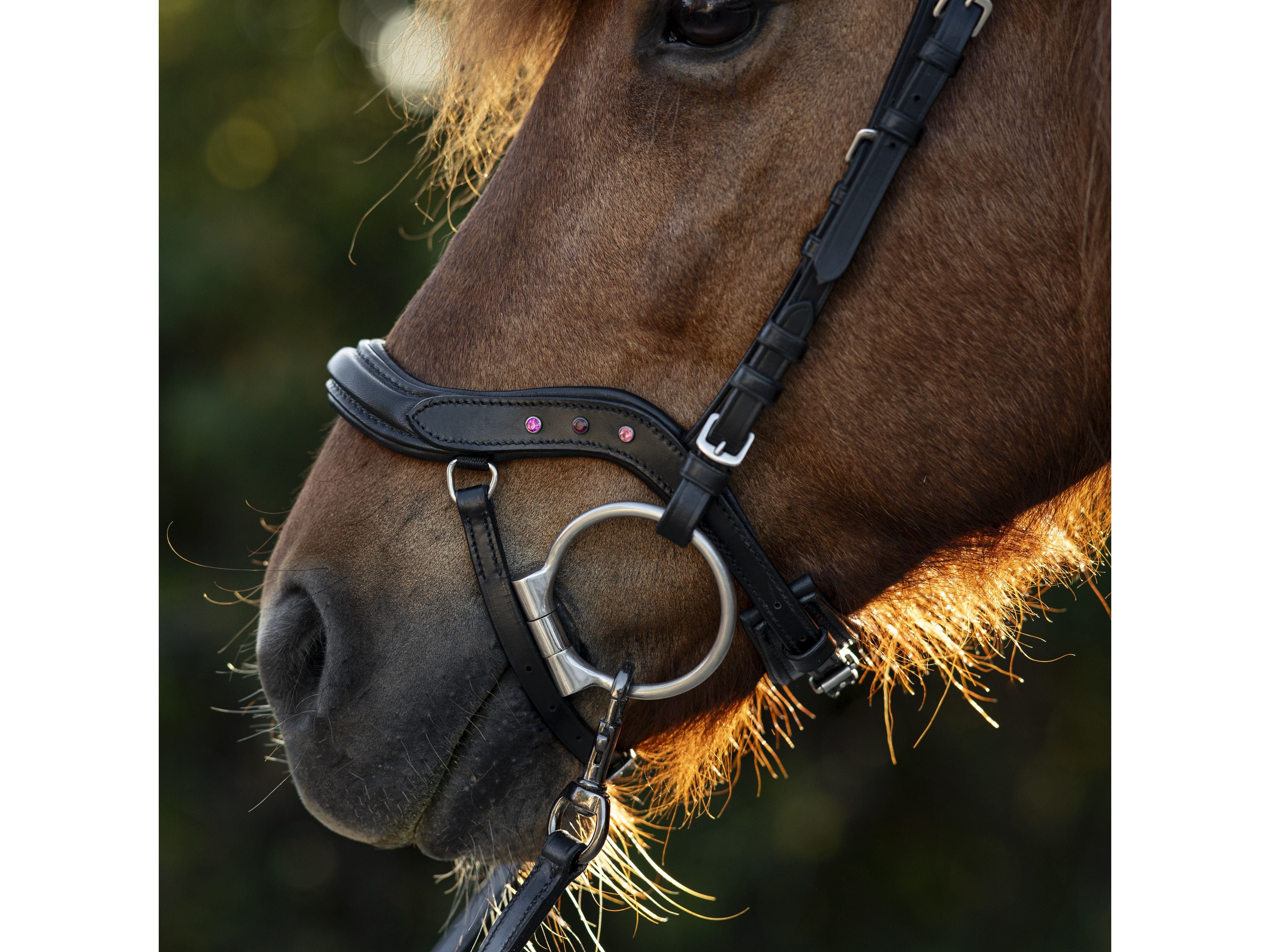 Epona Anatomische Trense Comfort pink