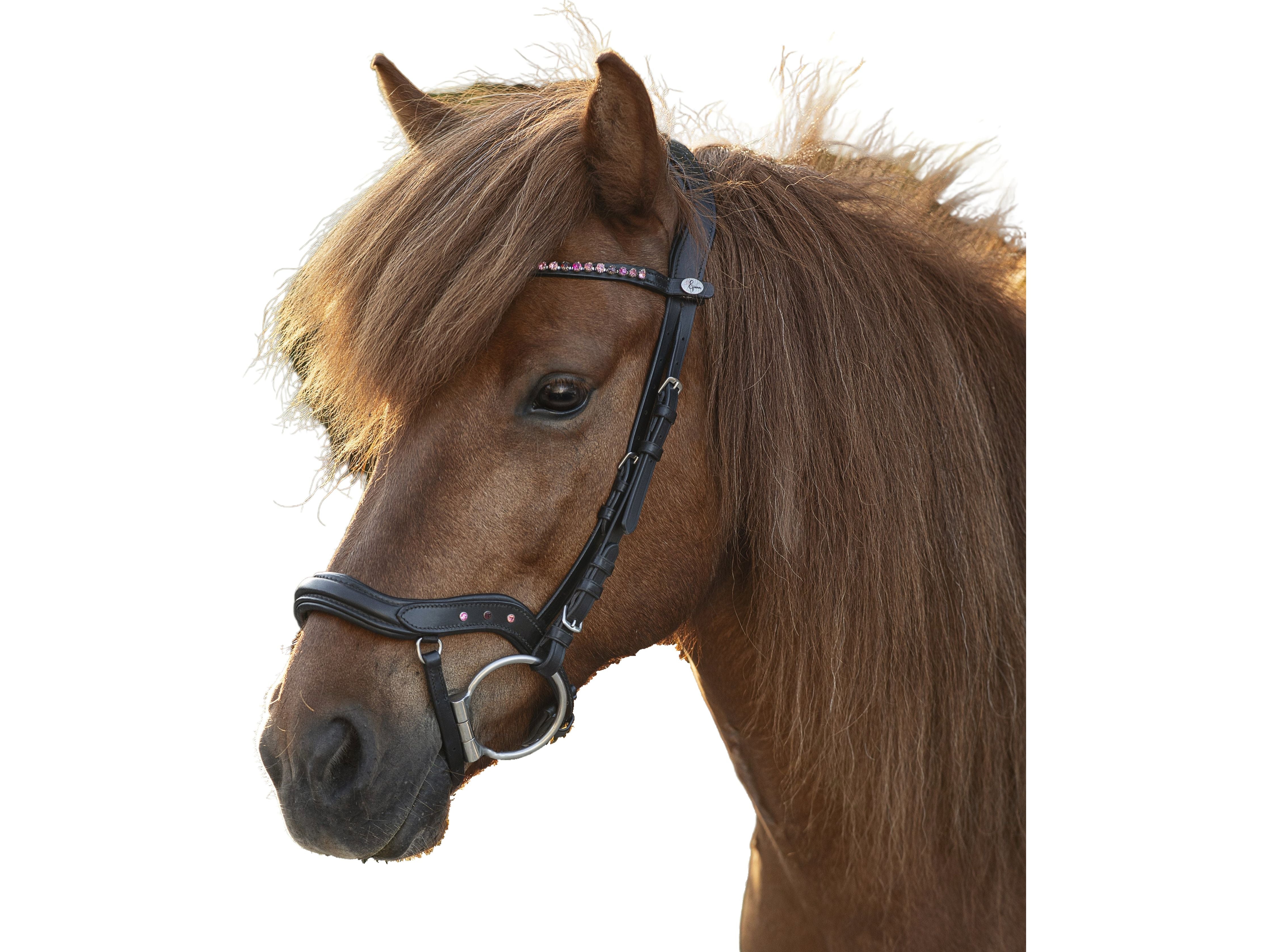 Epona Anatomical Bridle Comfort pink