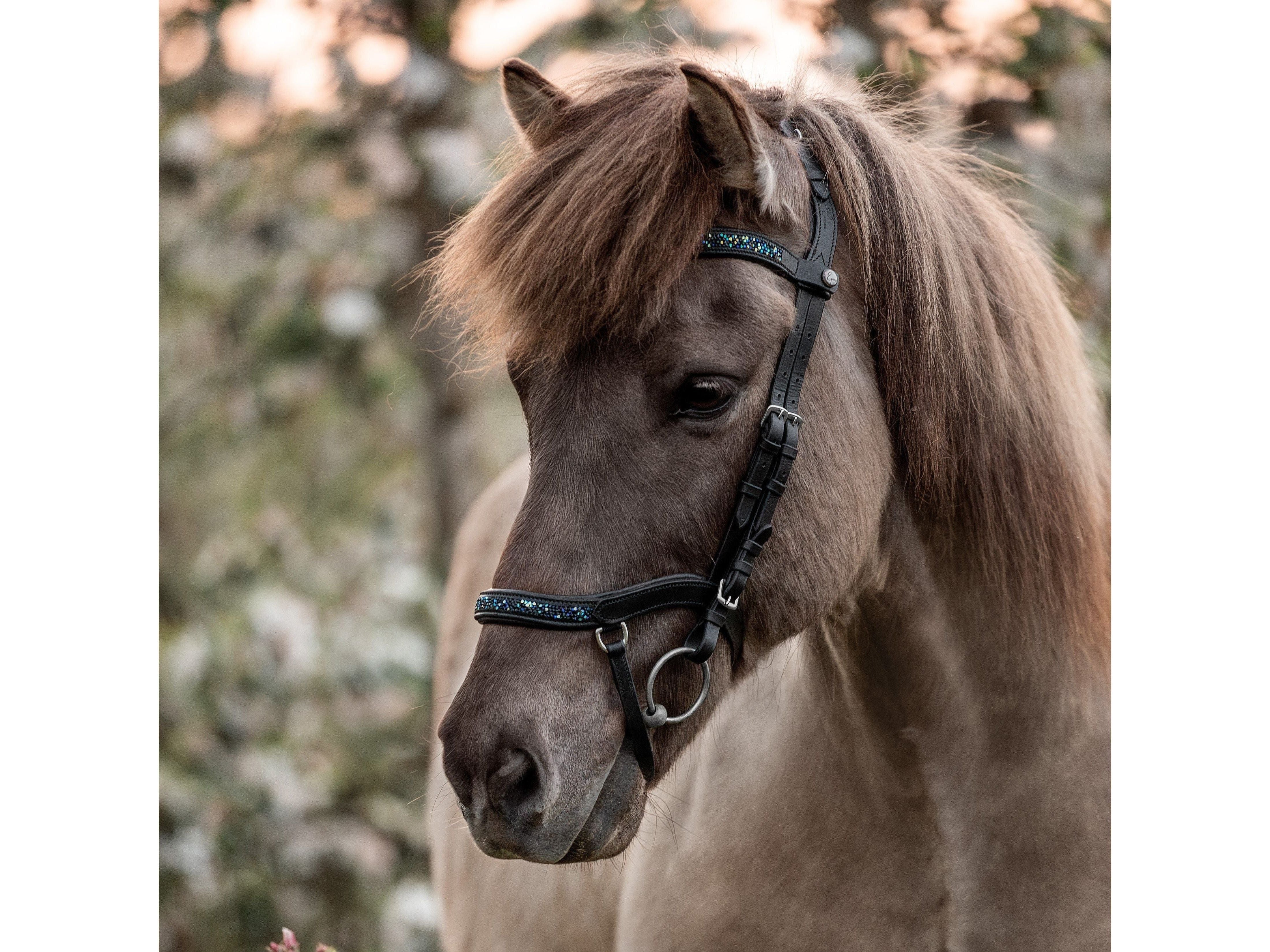 Epona anatomical bridle Aurora dark ocean