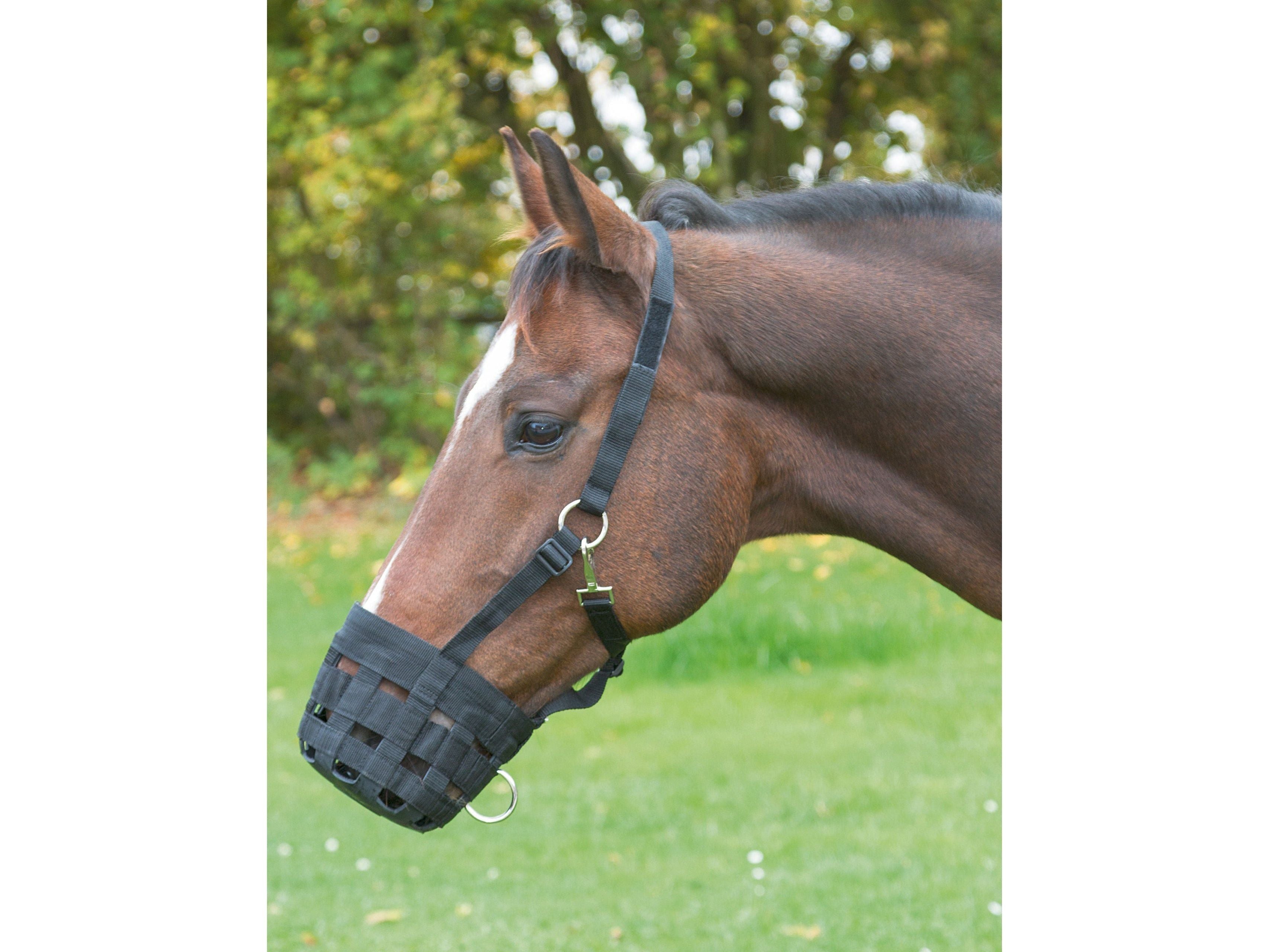 Icelandic Horse Fressbremse Nylon