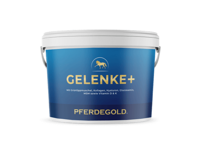 Gelenke+