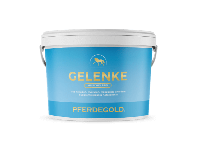 Gelenke Muschelfrei 2.0