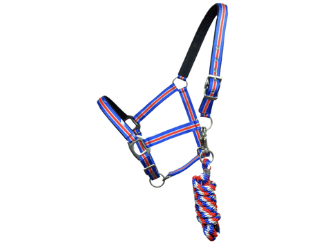 <span data-mce-fragment="1">Sorge für den ganz </span><span data-mce-fragment="1">besondere Island-Look, mit dem v</span><span data-mce-fragment="1">erstellbaren Nylonhalfter und dem passenden Baumwollstrick </span><span data-mce-fragment="1">in Islandfarben</span>