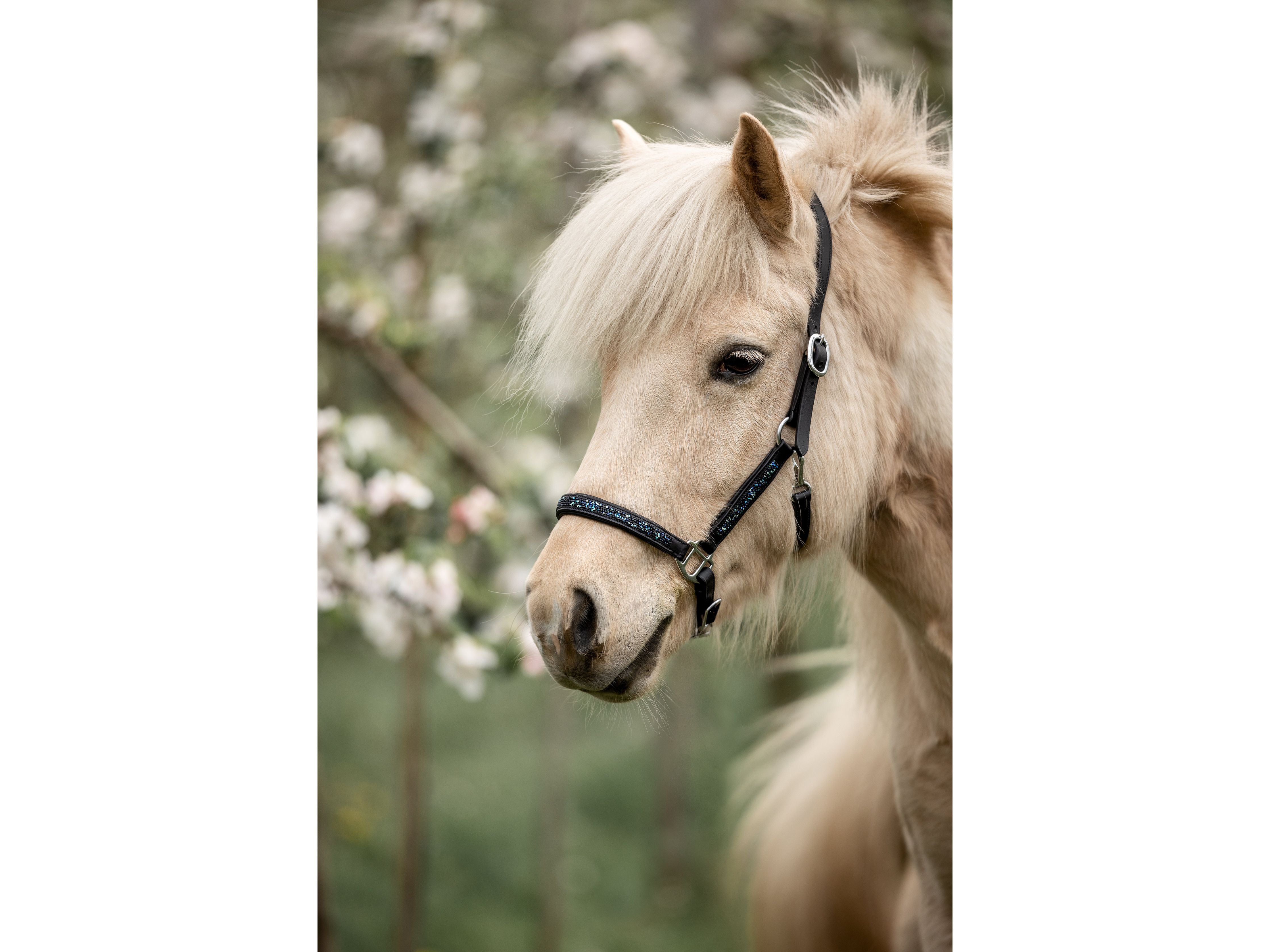 Epona Anatomical Leather Halter Dark Ocean
