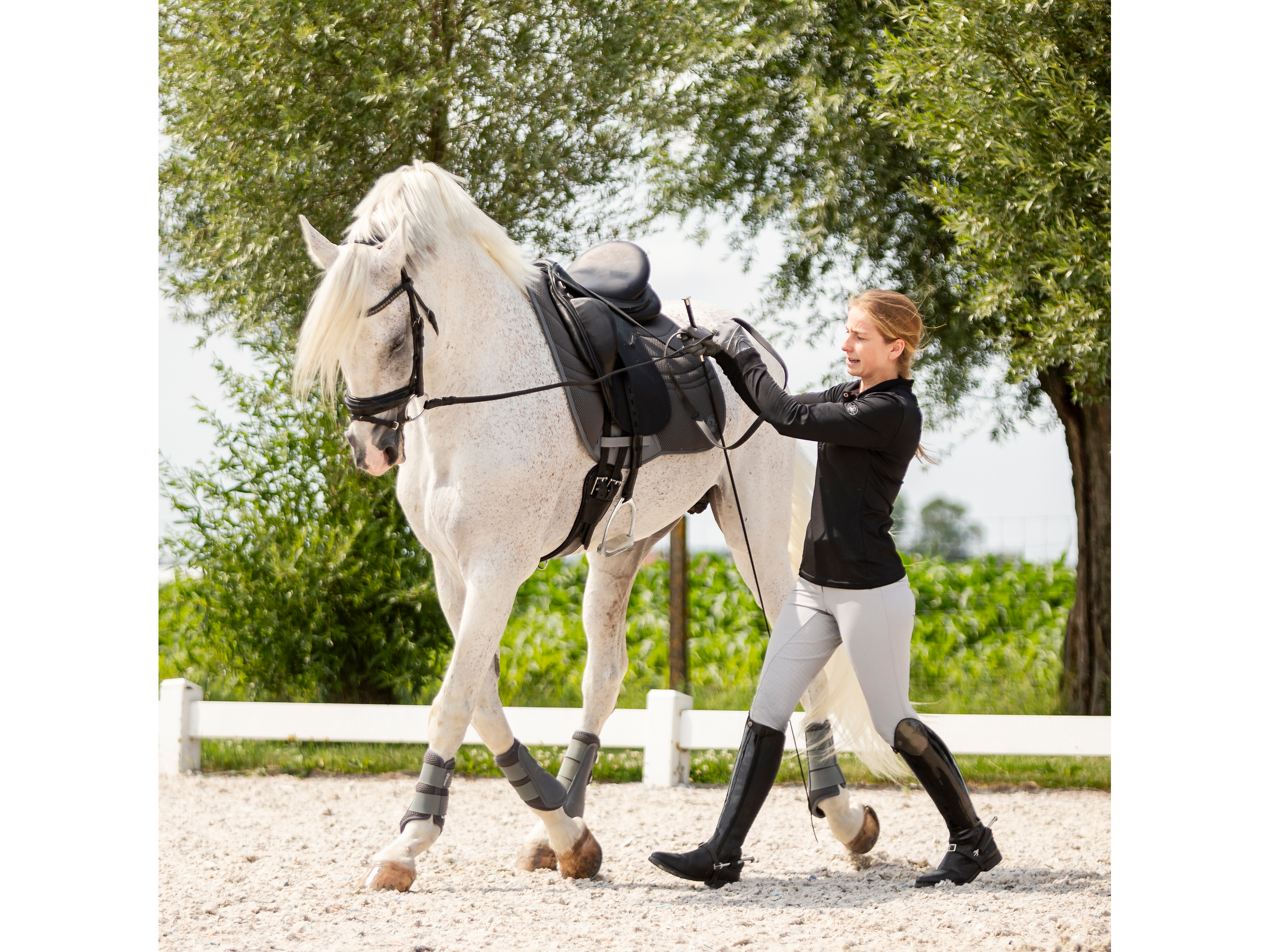 BUSSE Langzügel Biothane®