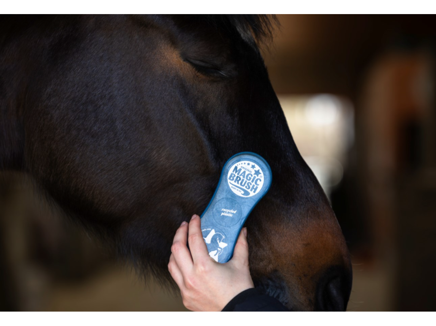 MagicBrush Bürstenset CornFlowers Recycled