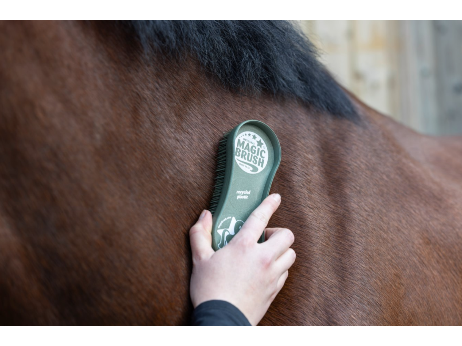 MagicBrush Bürstenset CornFlowers Recycled