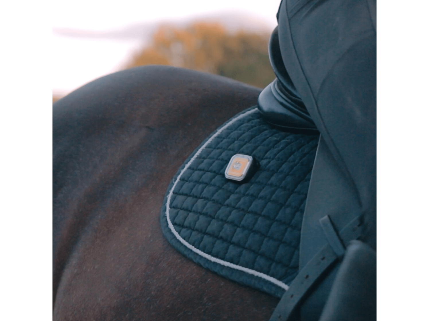 Meolinq Light 01 tragbare Lampe (500 Lumen) für Reiter