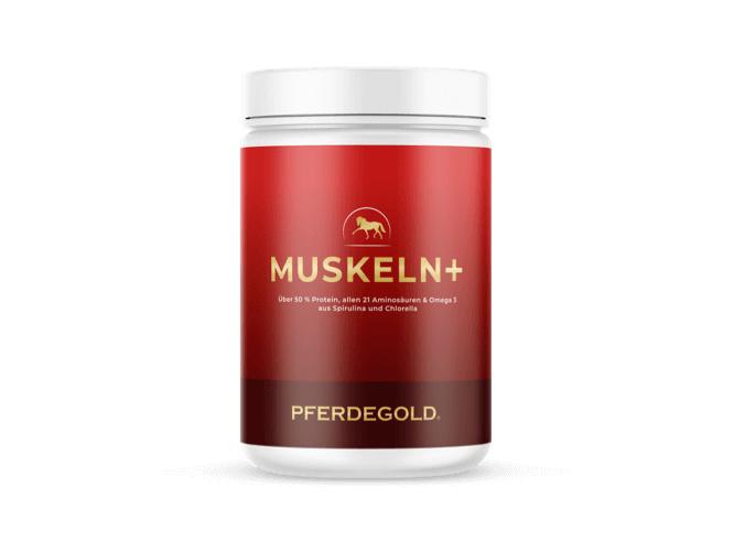 Muskeln+