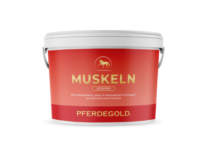 Muskeln 2.0 Sojafrei